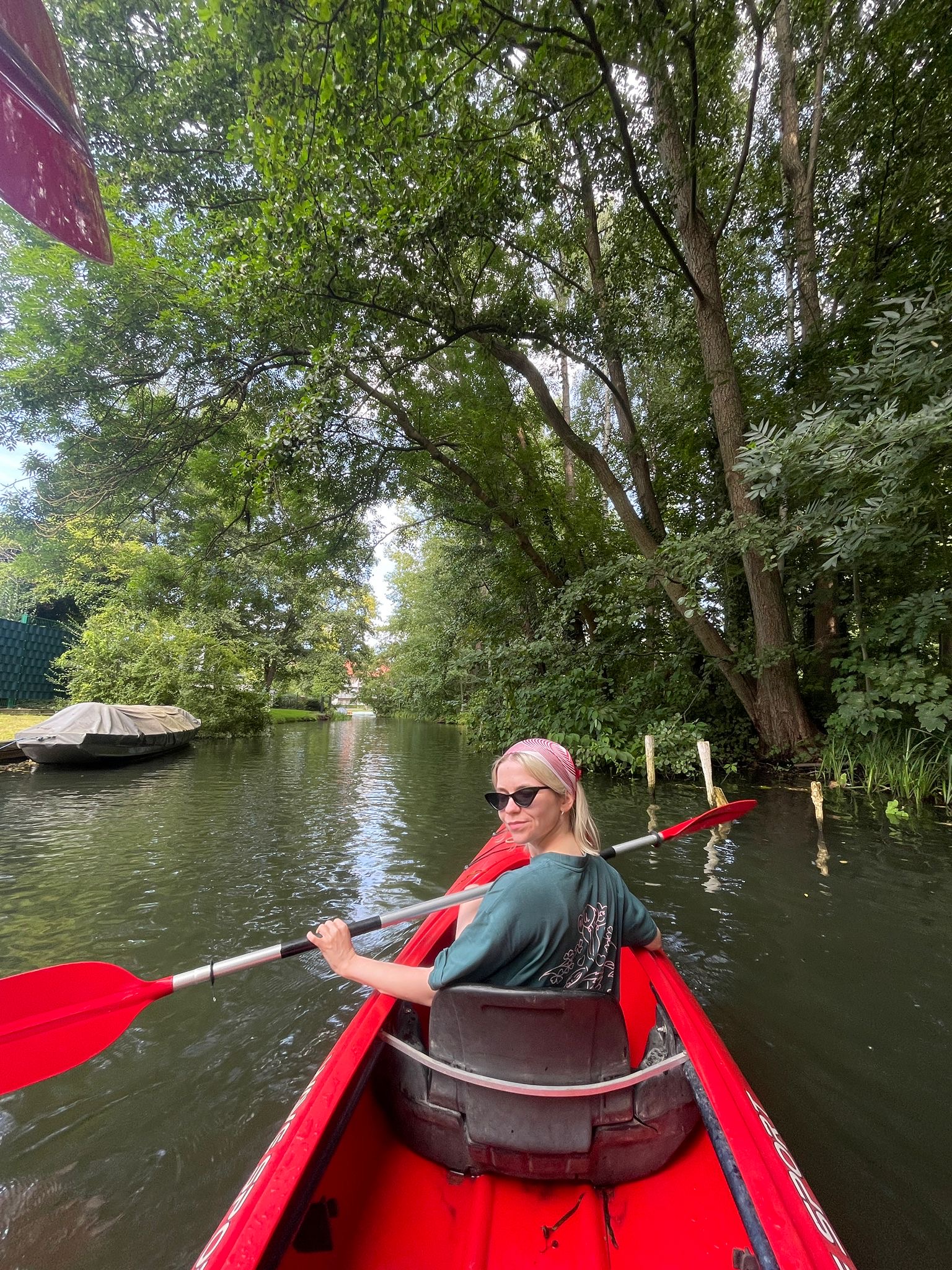 Seashell Resonance | Katia Fis