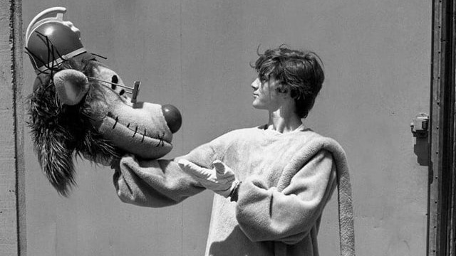 The Boo-sted Bongo: Haunted Melodies and Stale Novelties | D. Strauss