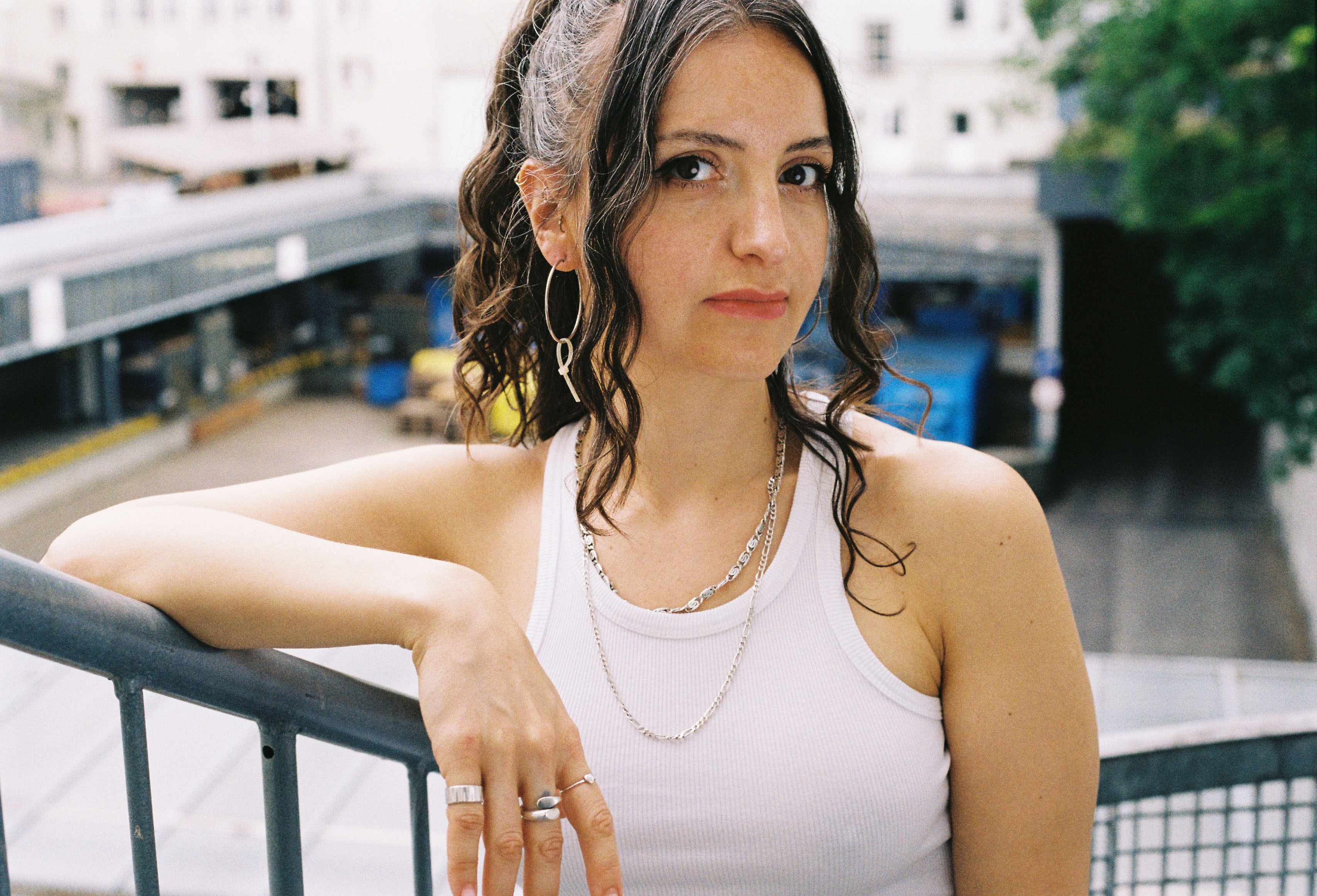 Sonic Journey | Banu & Mano Santana