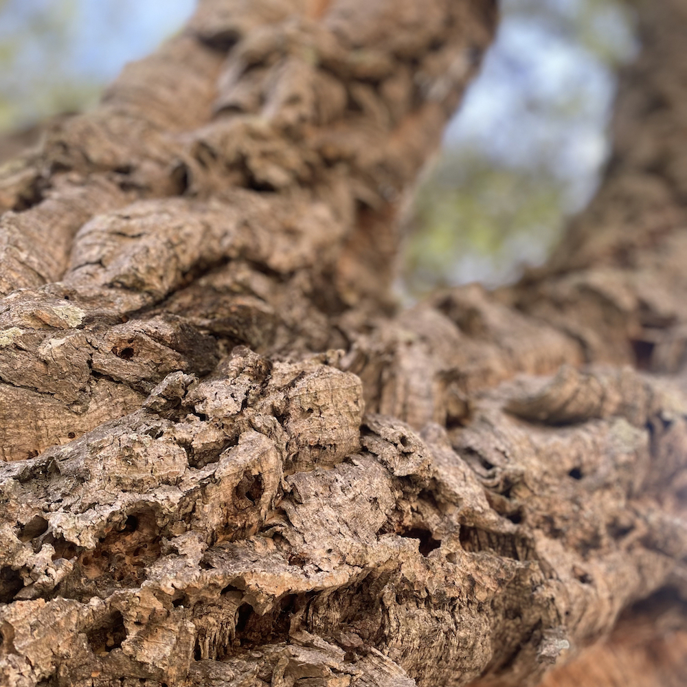 Deepartment | Claudio PRC