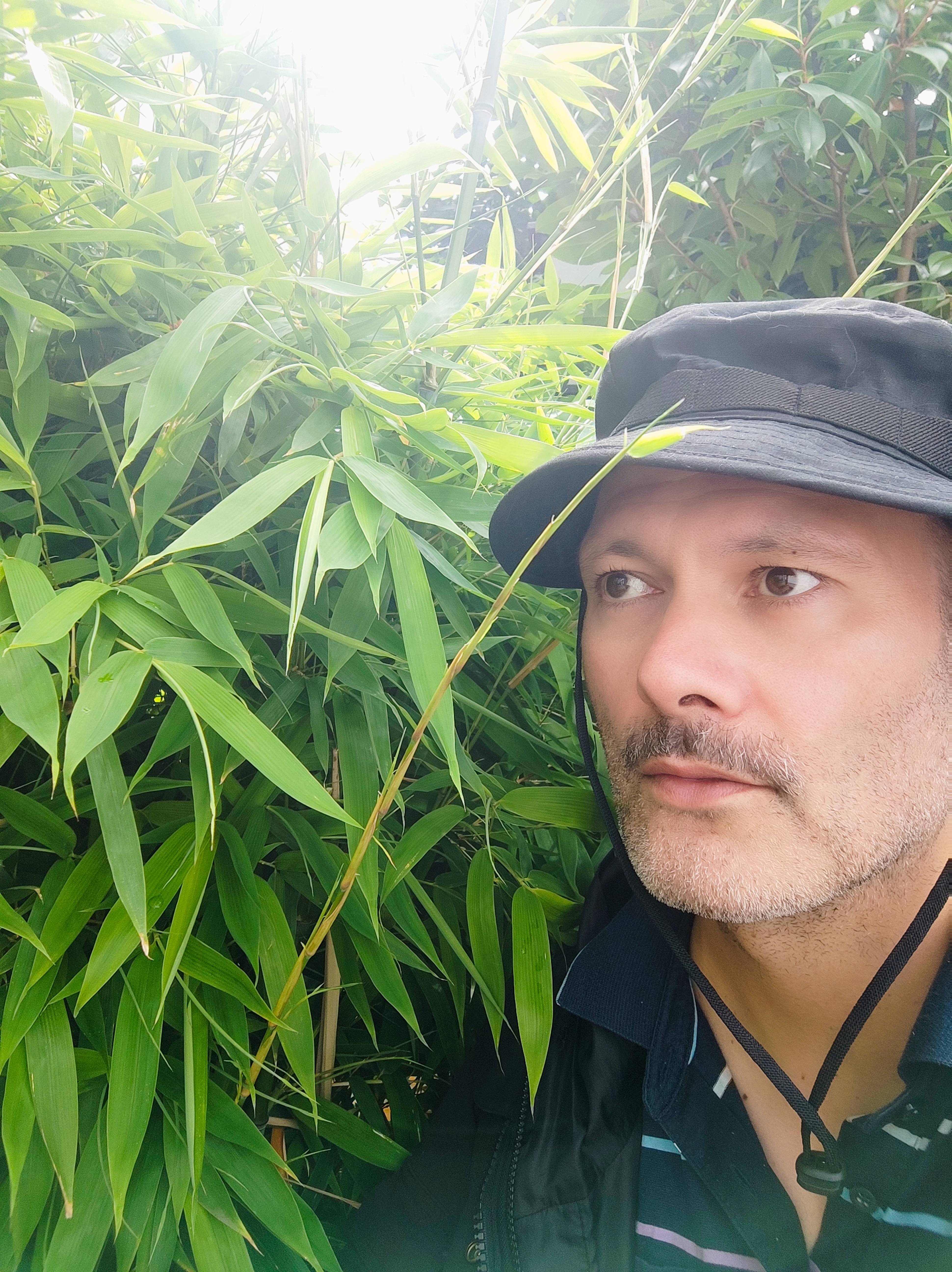  The Breakfast Show | Kava