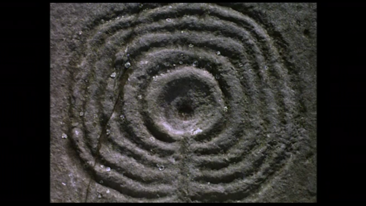 Jank Incorporated | Der Opium Queen 