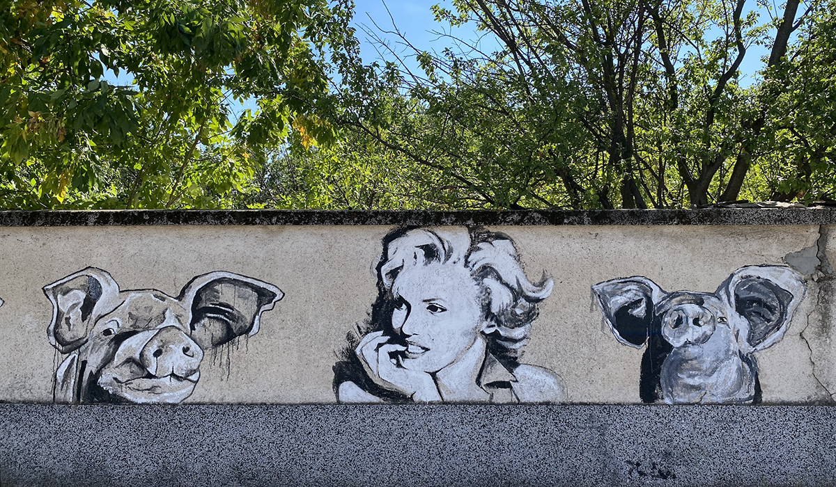 An Imaginary Beach Malfunction