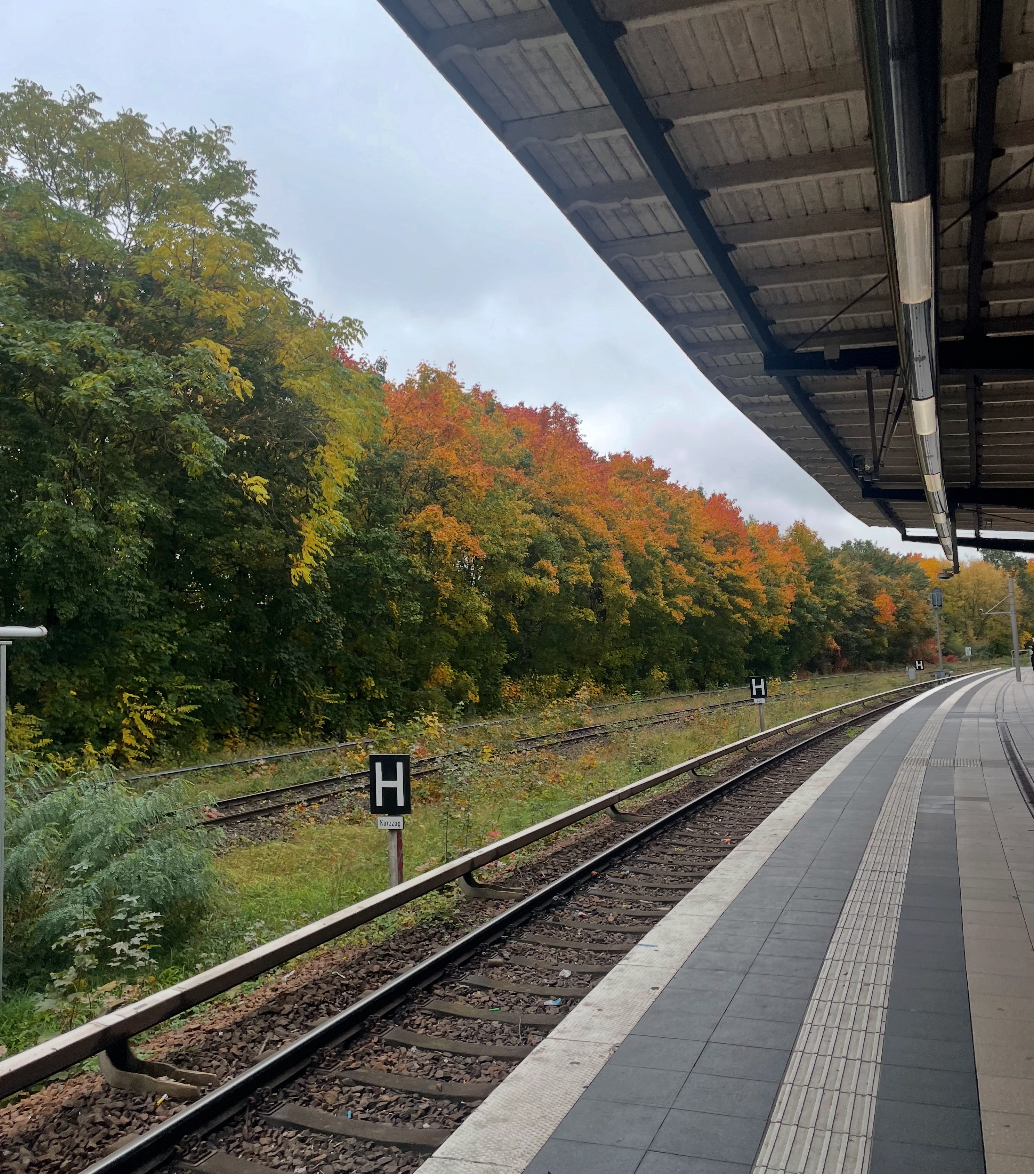 Live at HHV | Obelix