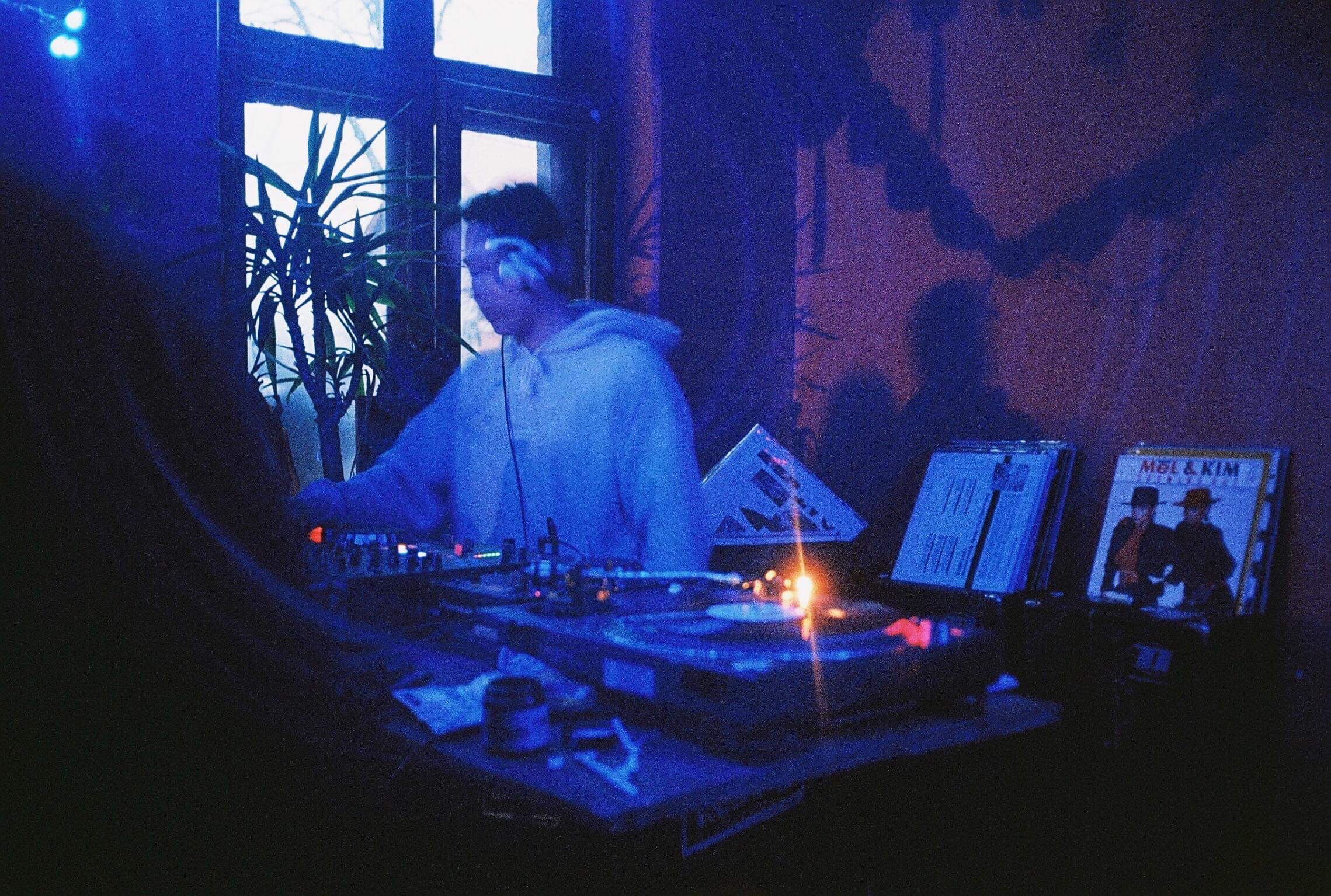 Gelee Royale | Peter