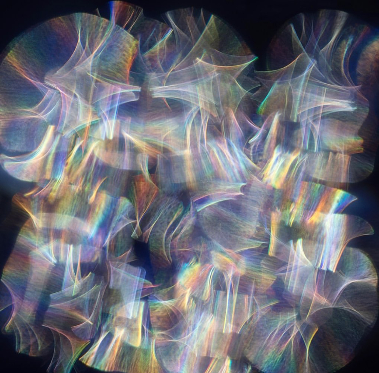 untitled 909 | basic chanel