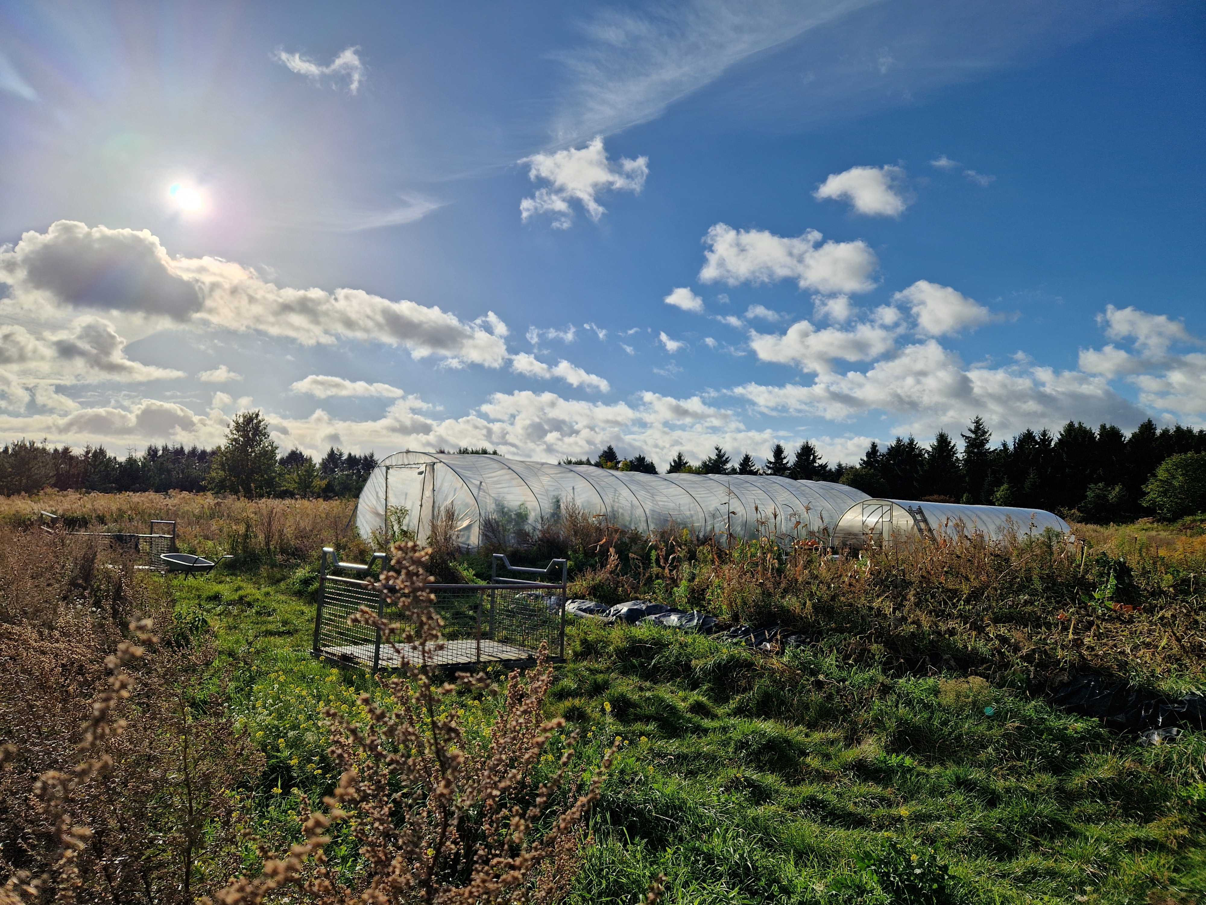 Aloti Farm launches fundraiser to support their Black FLINTA-run permaculture project