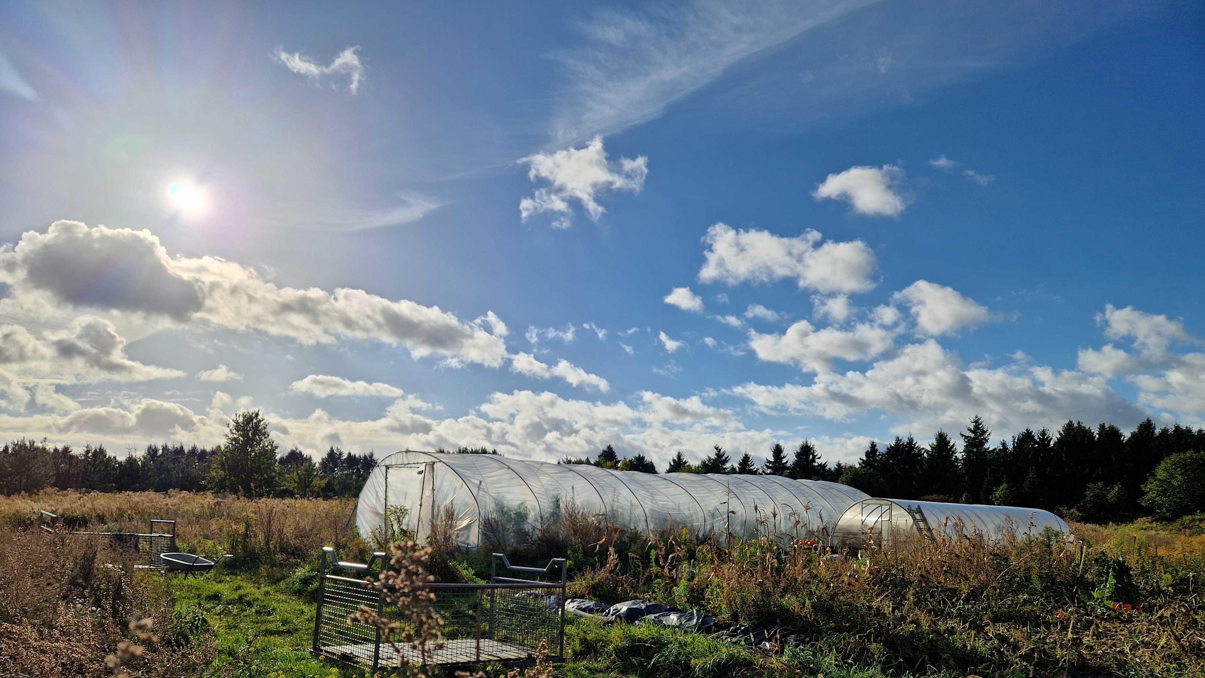 Aloti Farm launches fundraiser to support their Black FLINTA-run permaculture project
