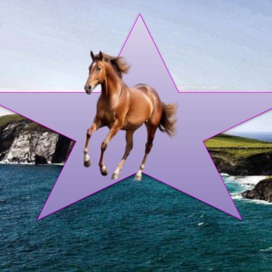 Whose horse is that? | Cecilia Robinson