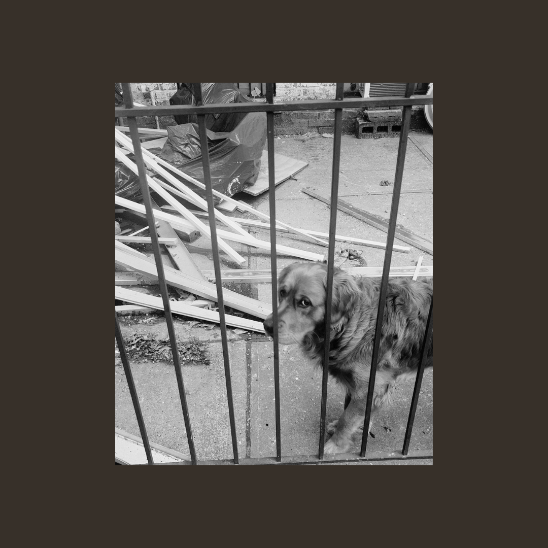 The call is coming from inside your WG | Lenny Diga