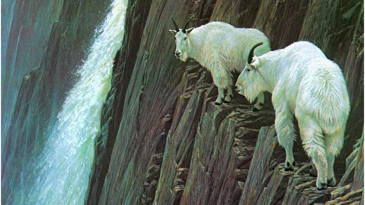 Music For Goats: The Return