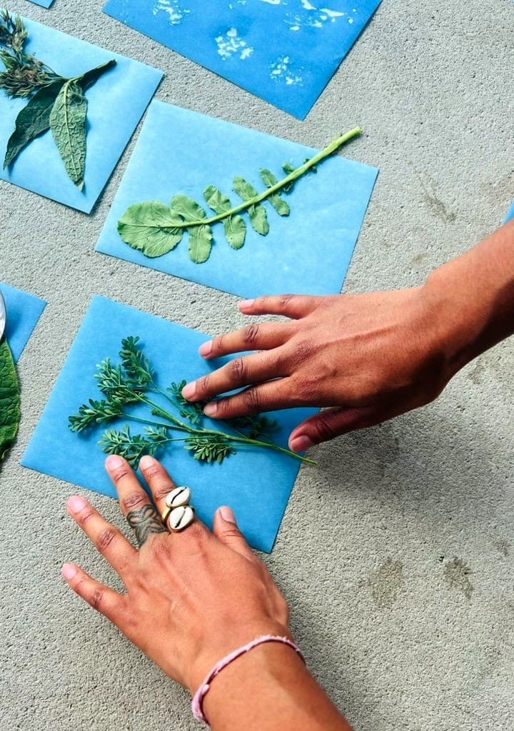 Plant Stories | Anguezomo & Abeni 