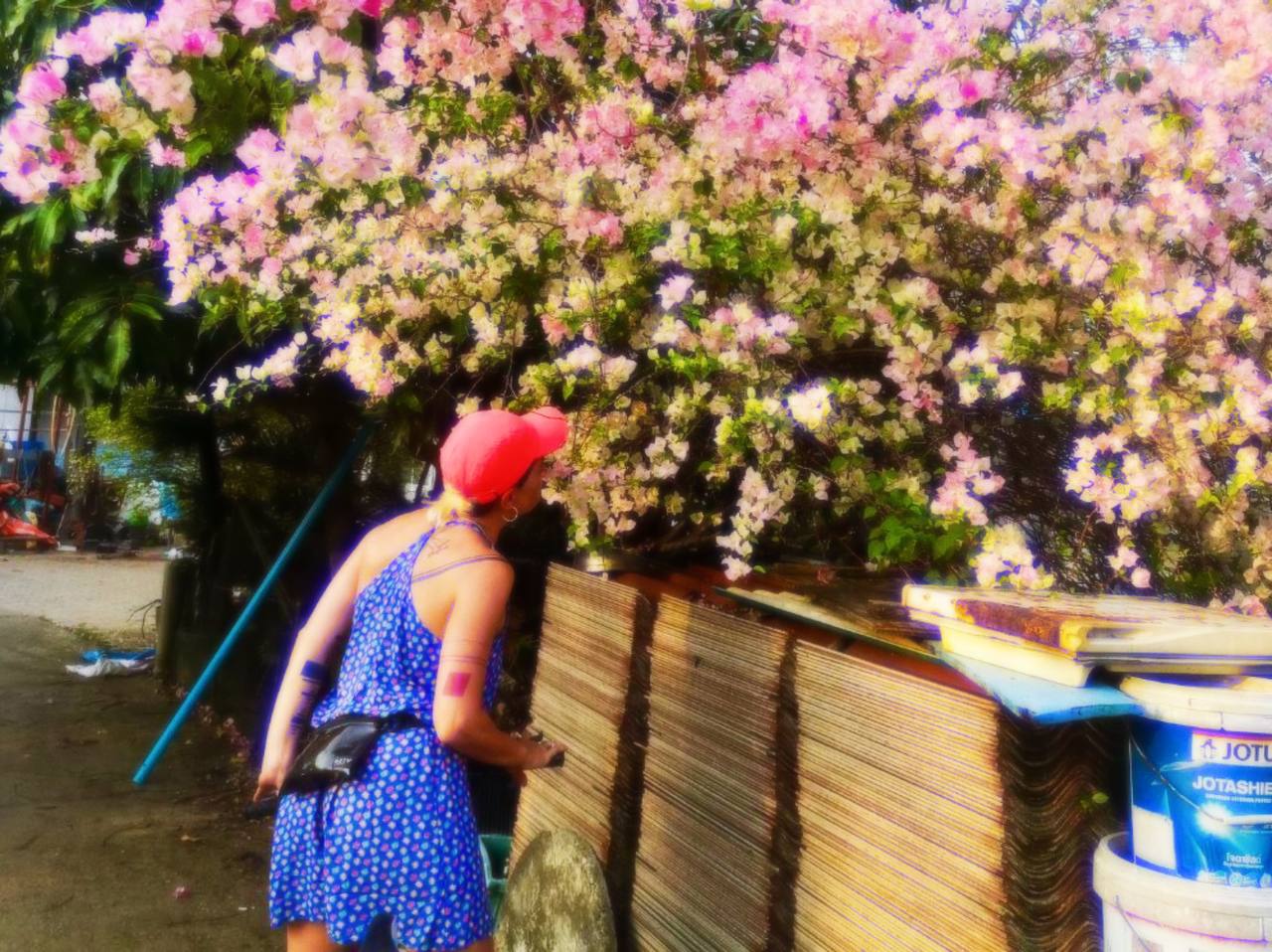 Skankstasy Hour | Skankstasy