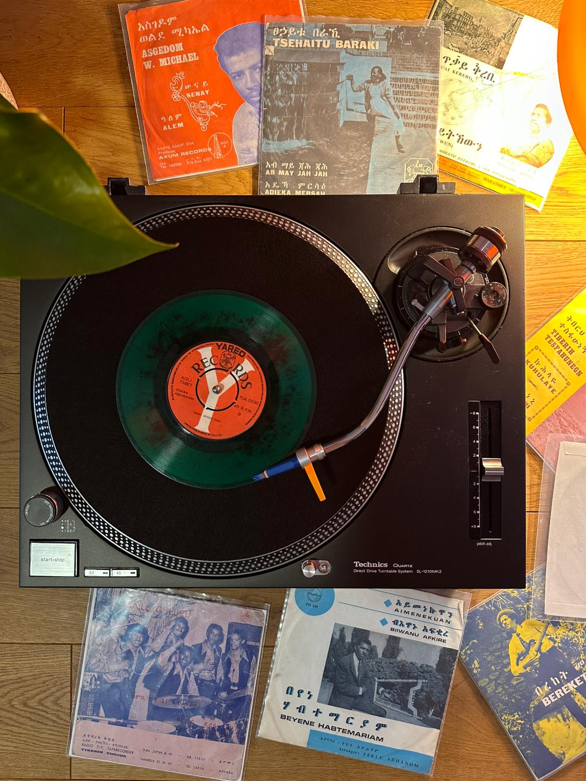 Celebrating lidet | Tmnit & Eritrean Anthology