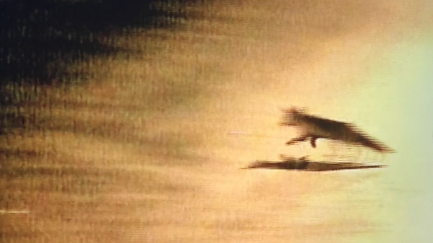 Still On Hold | Akimat & Dance____98 