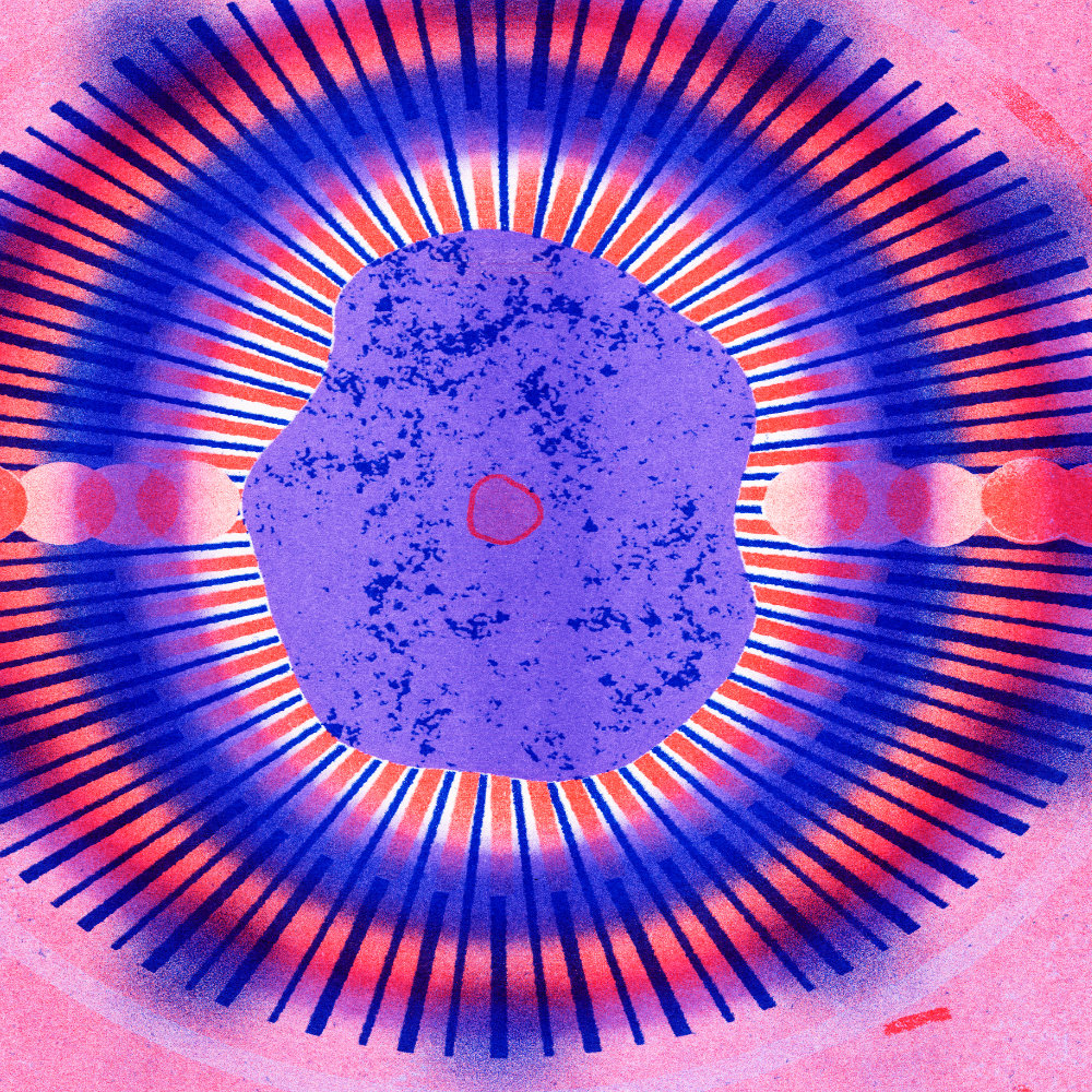 Circular Listening Sessions | Amuleto Manuela, Lynhan Balatbat-Helbock & Billy Fowo 