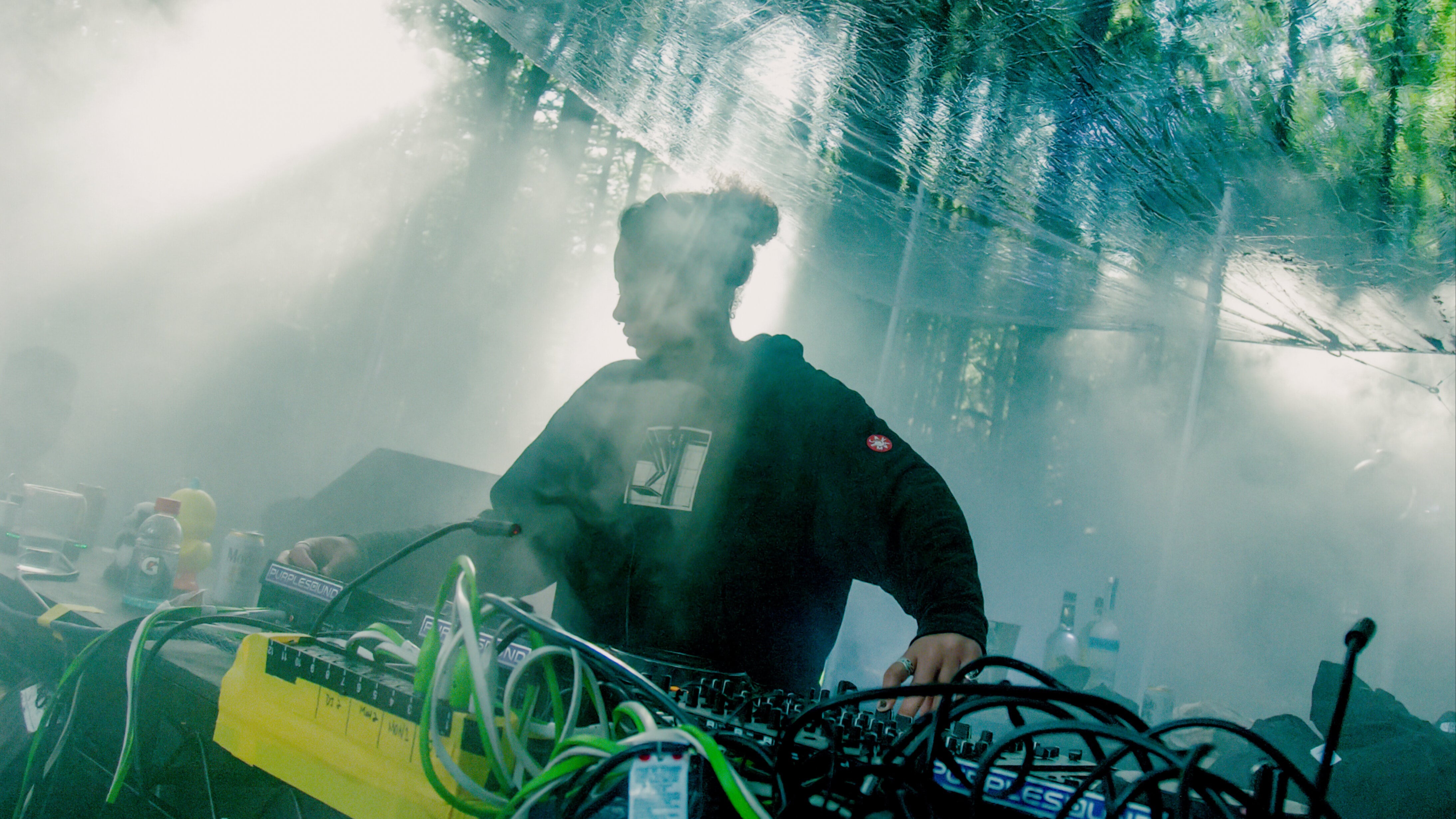  Basic Paradise | livwutang