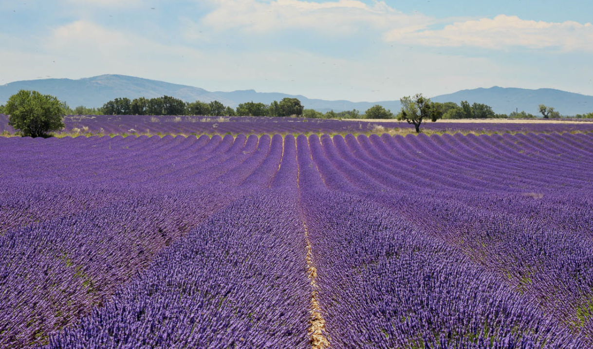 EKleKtiK | Laura Fiore