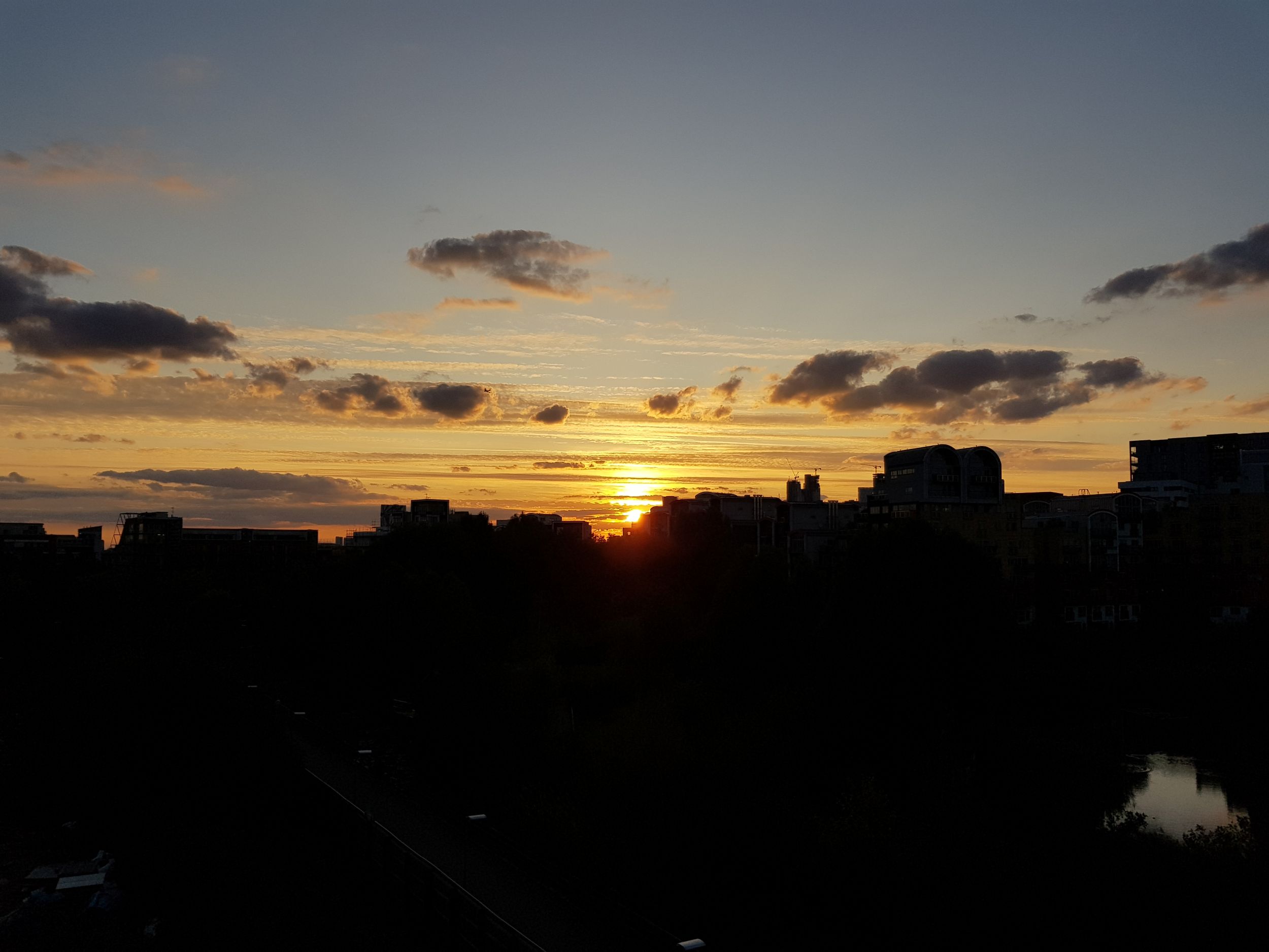 Master Selector | Versailles