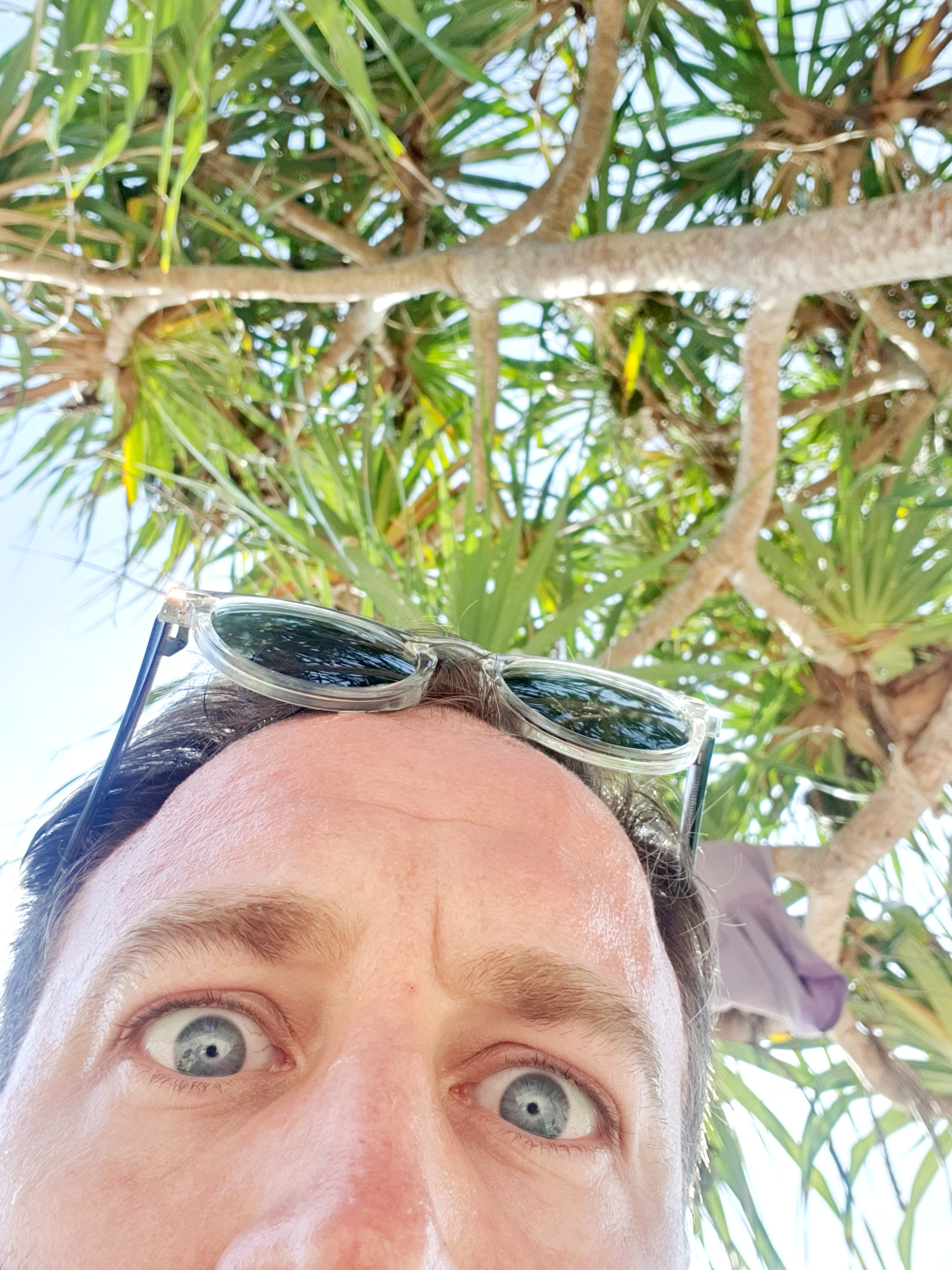 The Move 78 Show | Aver