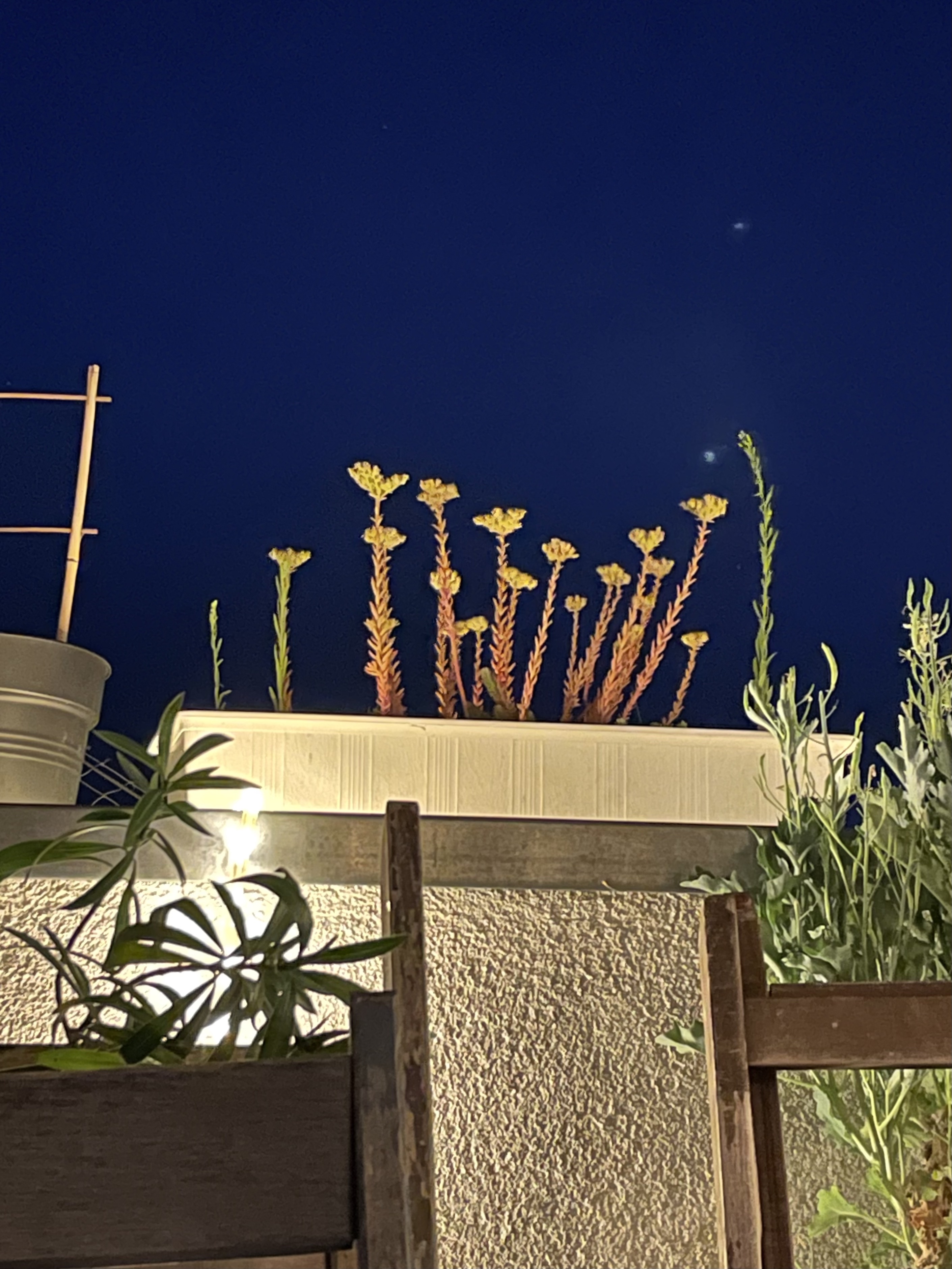 aequa Radio | Sarj & Women in Exile e.V.