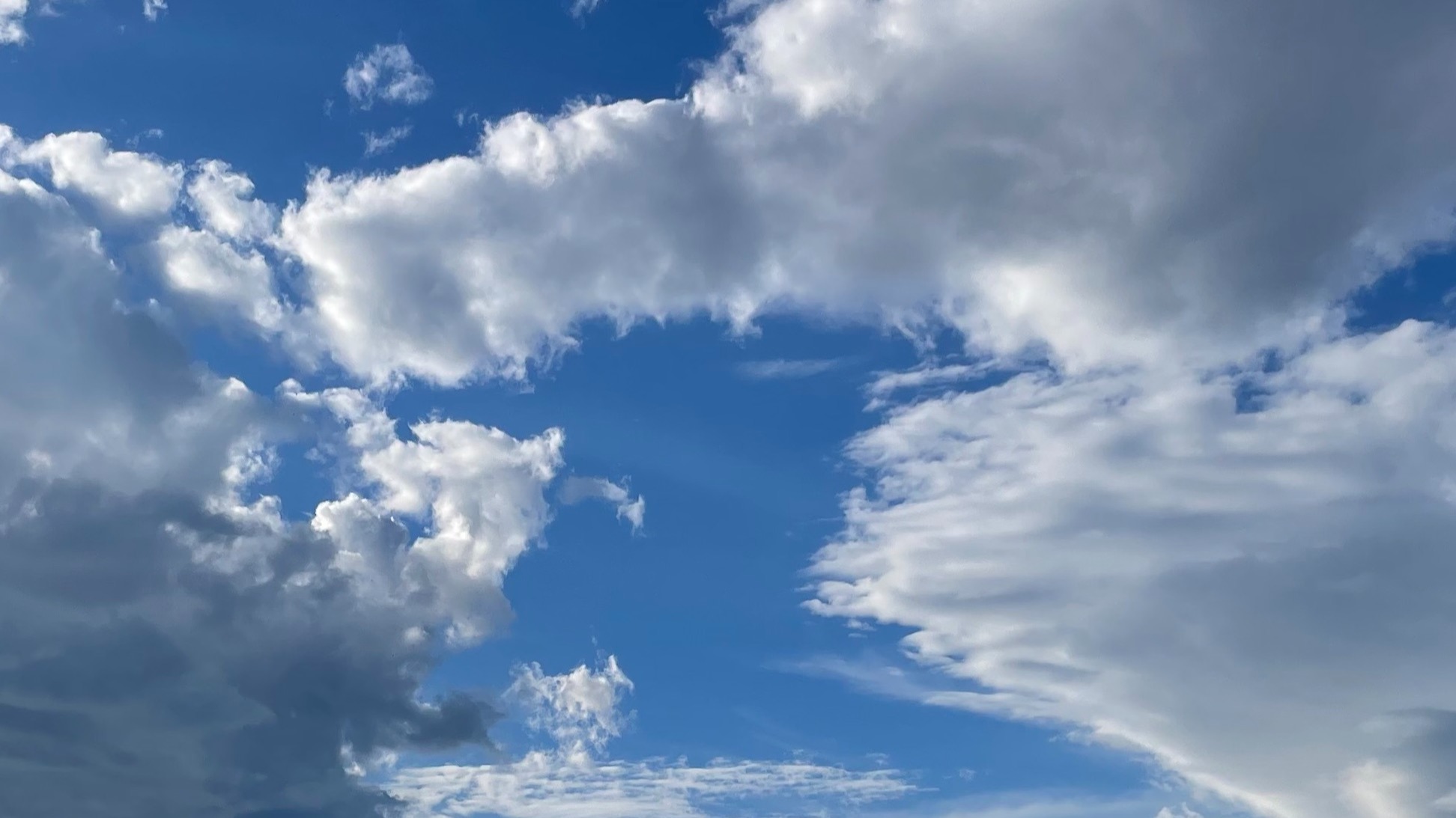 ✶ realms ✶ | Kali