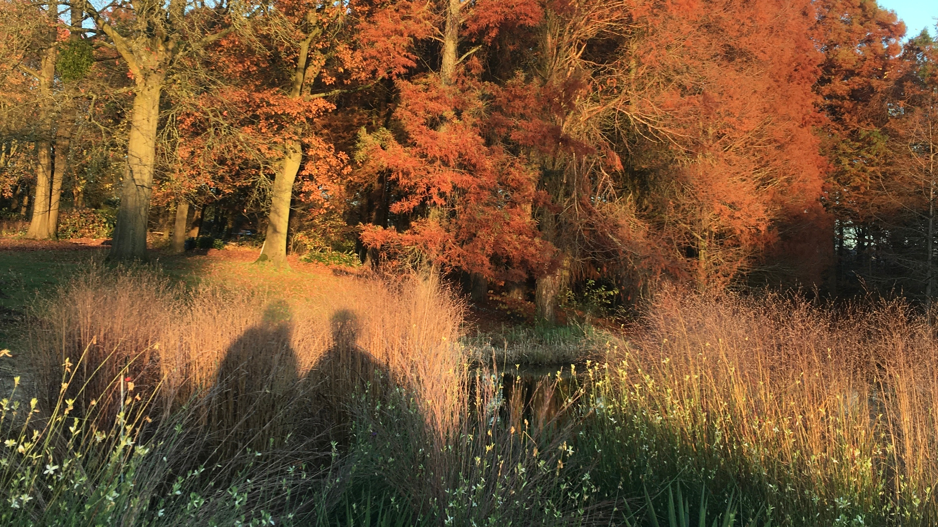 COMPLEX with Alex Solman