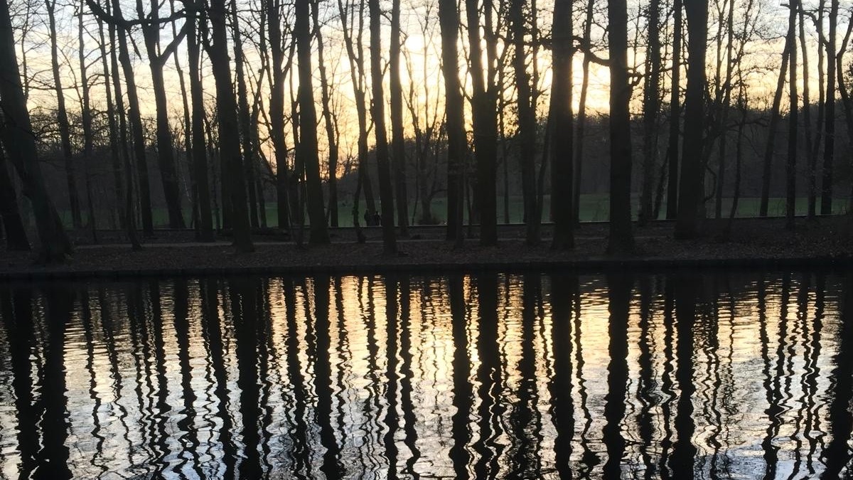 ENDM | Aalia & Azemad