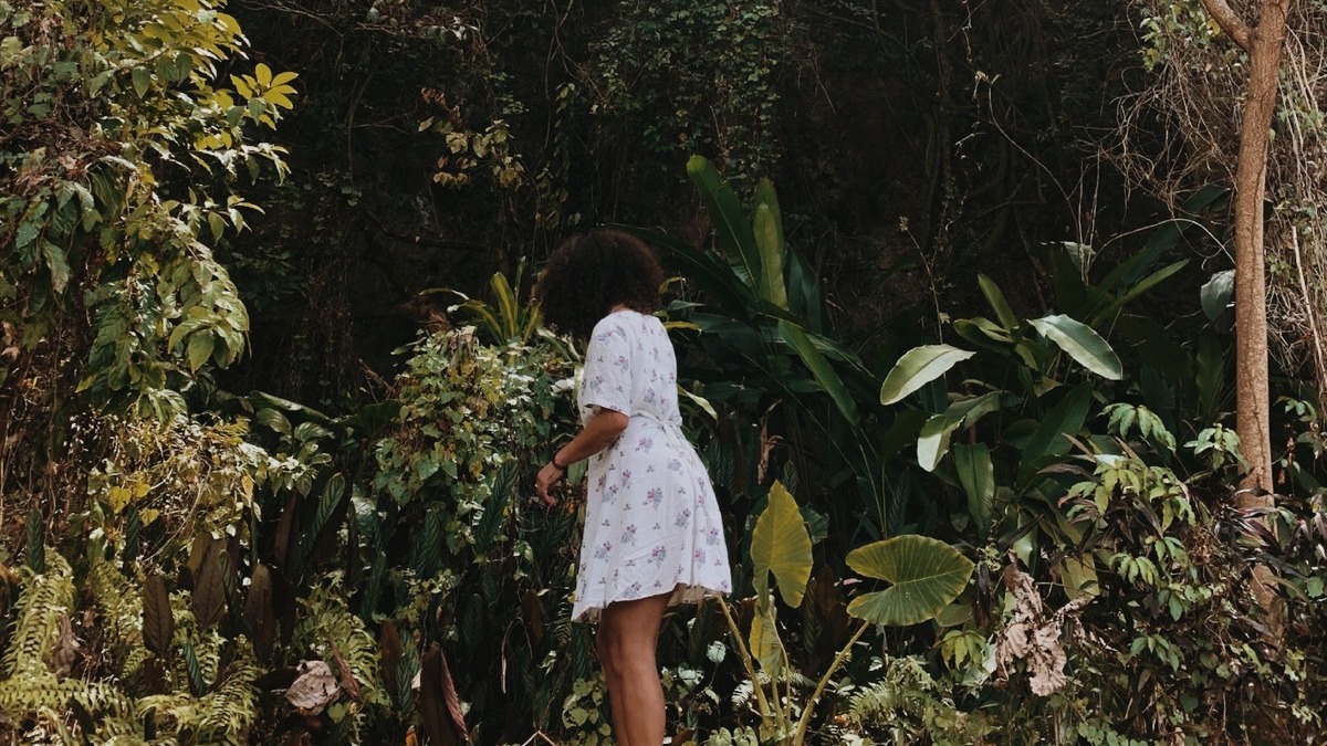 Expressions | JAXX TMS