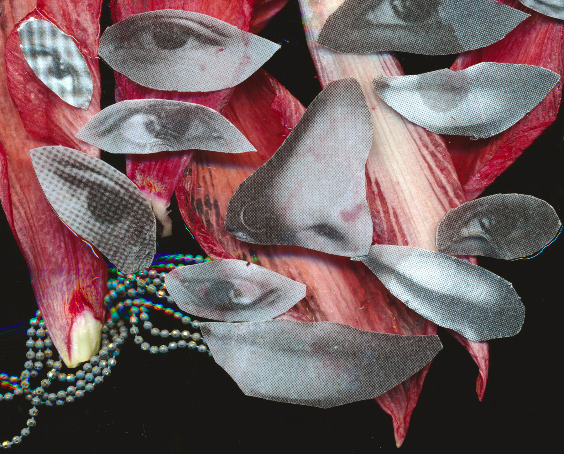 Sonic Utopias | MINQ