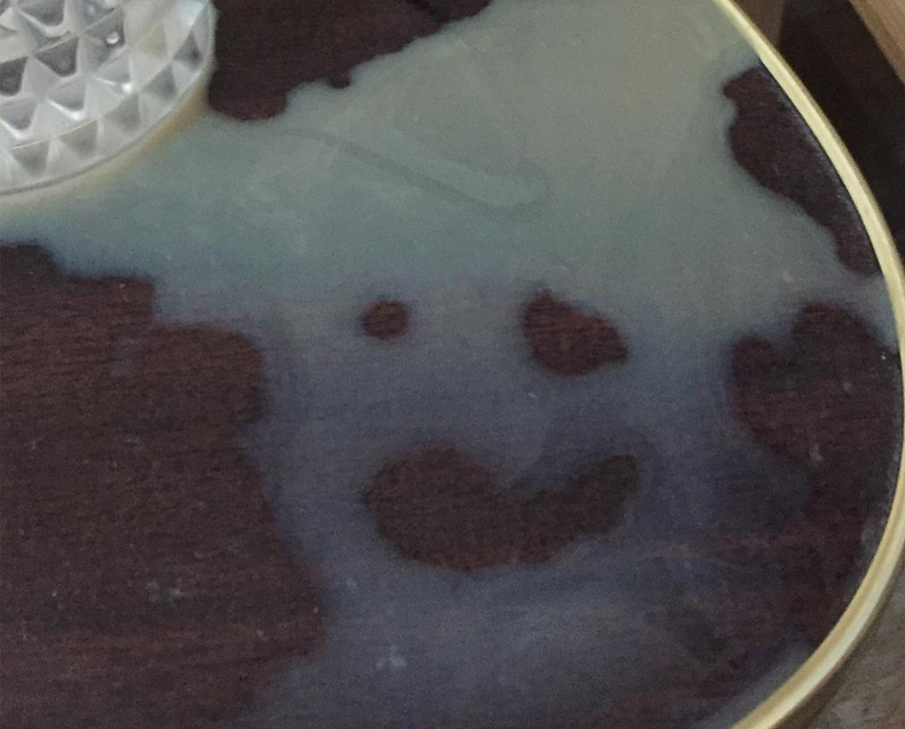 Astral VIP | Nipuna & Bruce