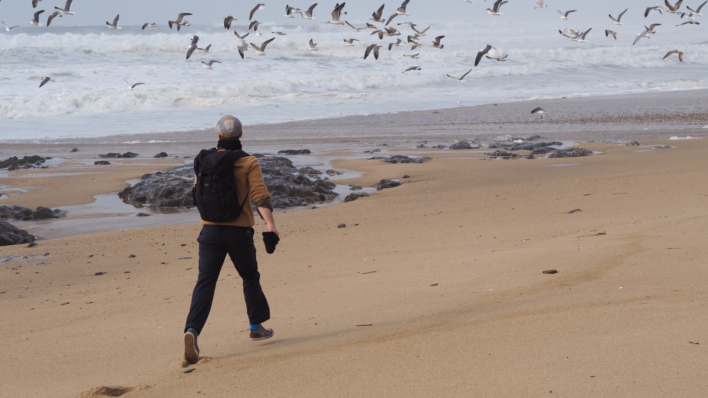 Disko International | Soulix