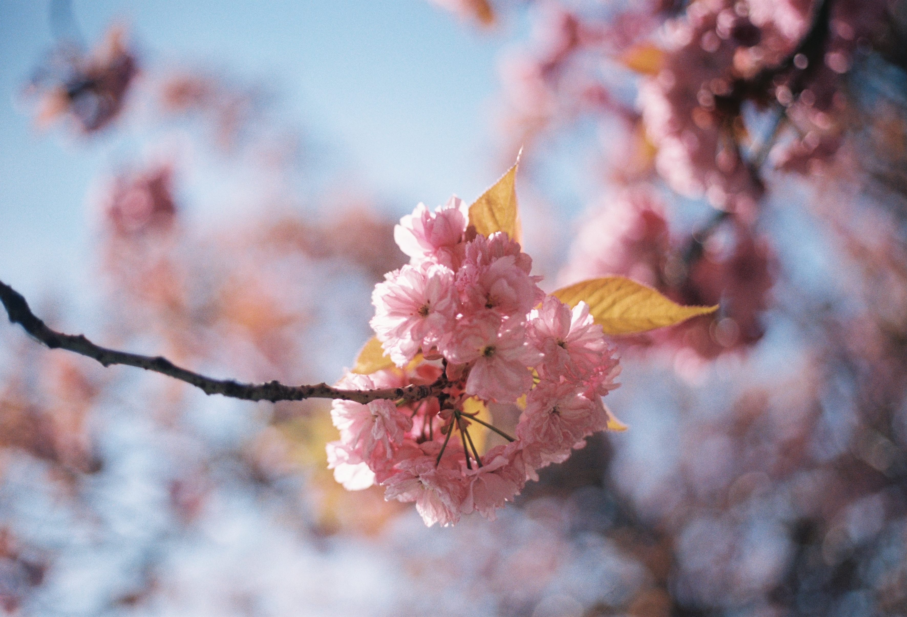 Loose Ends | Kemback & Journey to the Centre