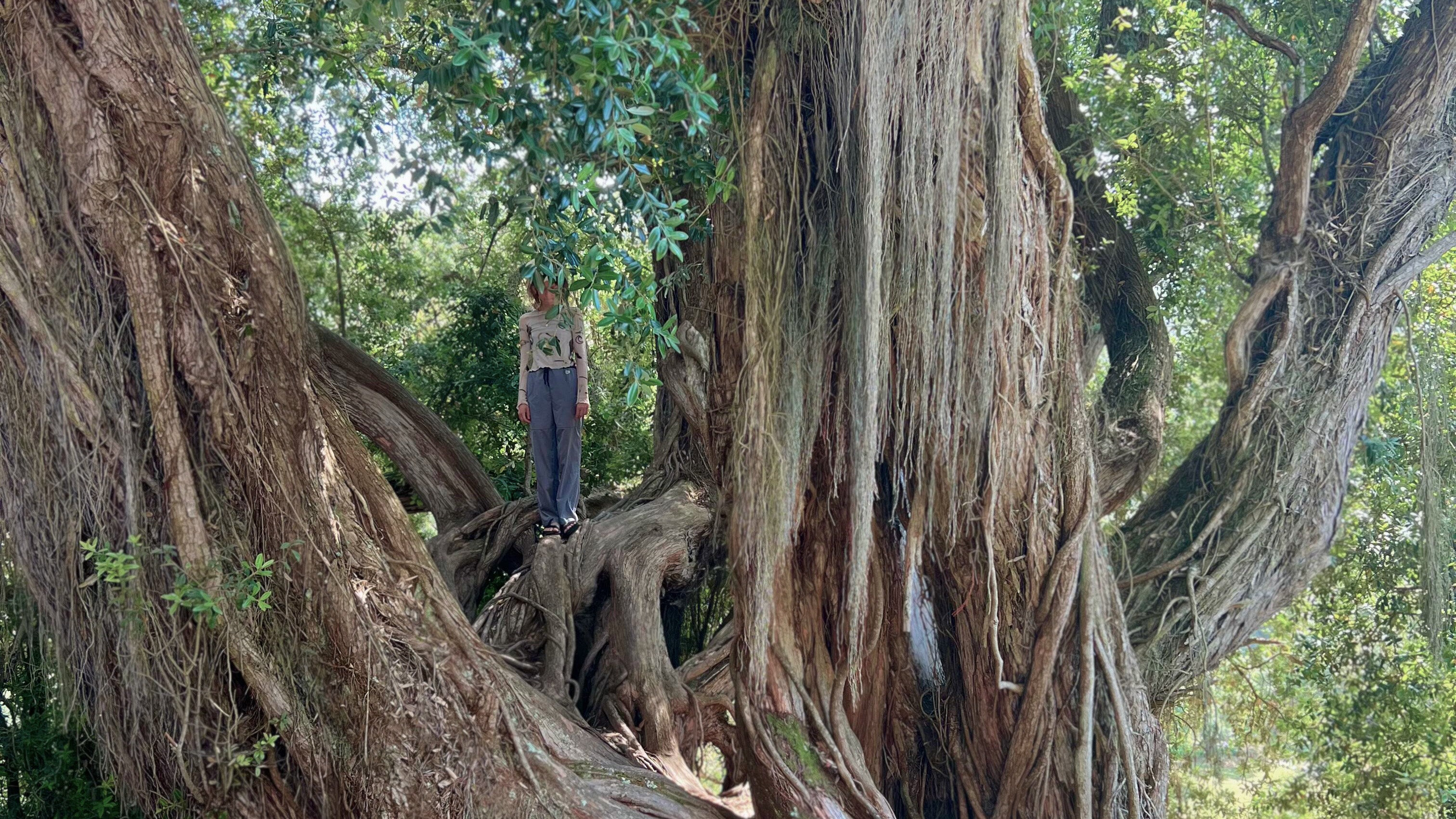 Ouch Collective | Andria Obor