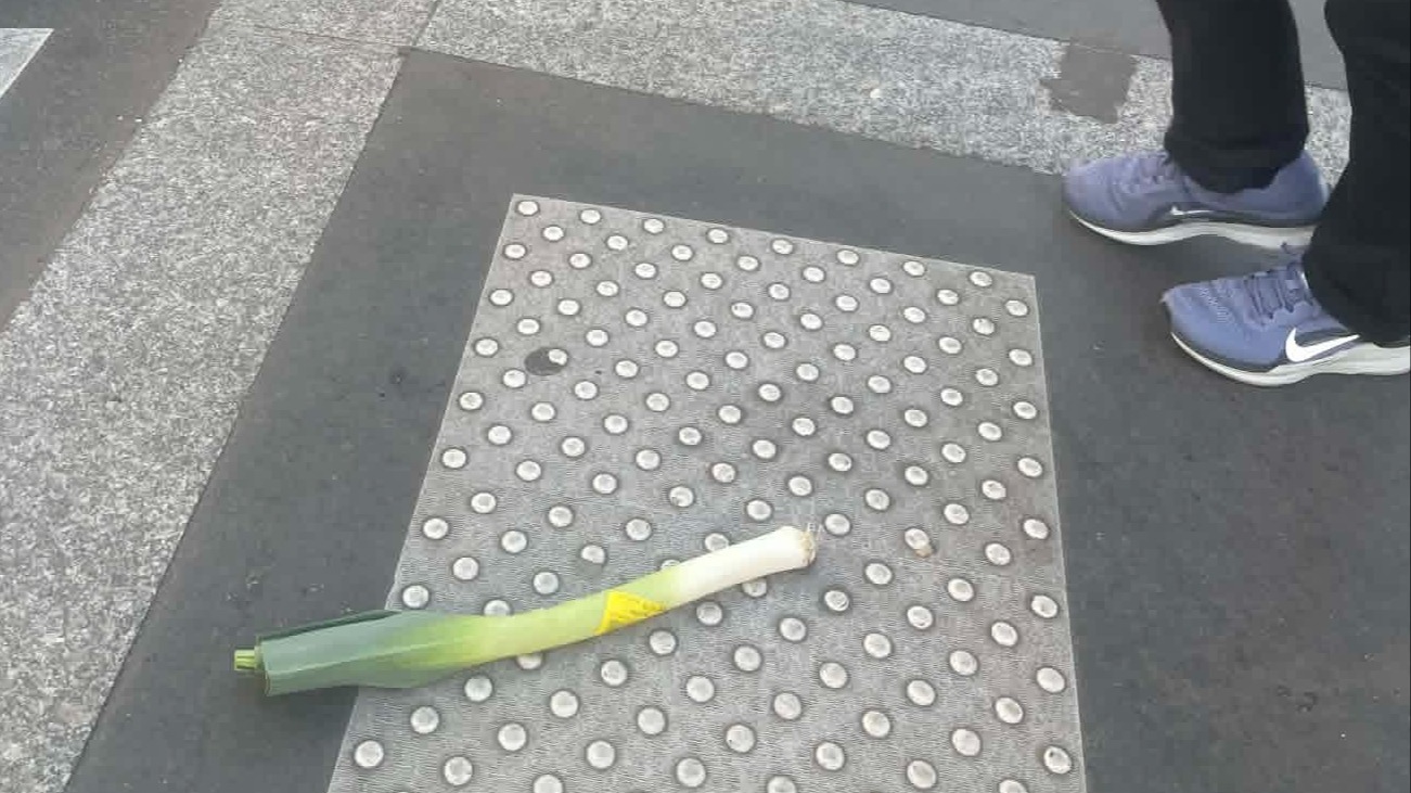 The Busted Bongo | D. Strauss