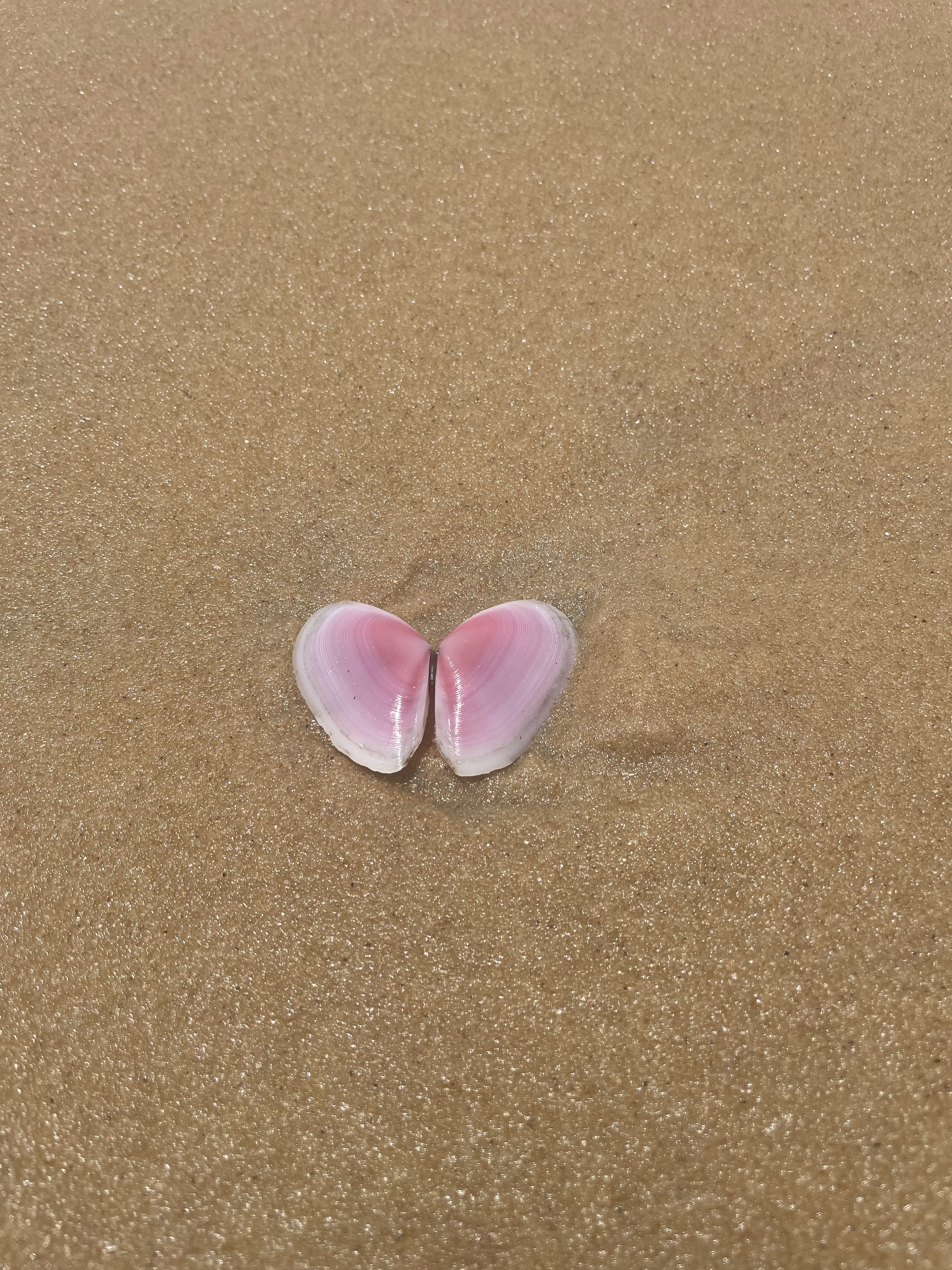 Wet Dreams | King Sleepy