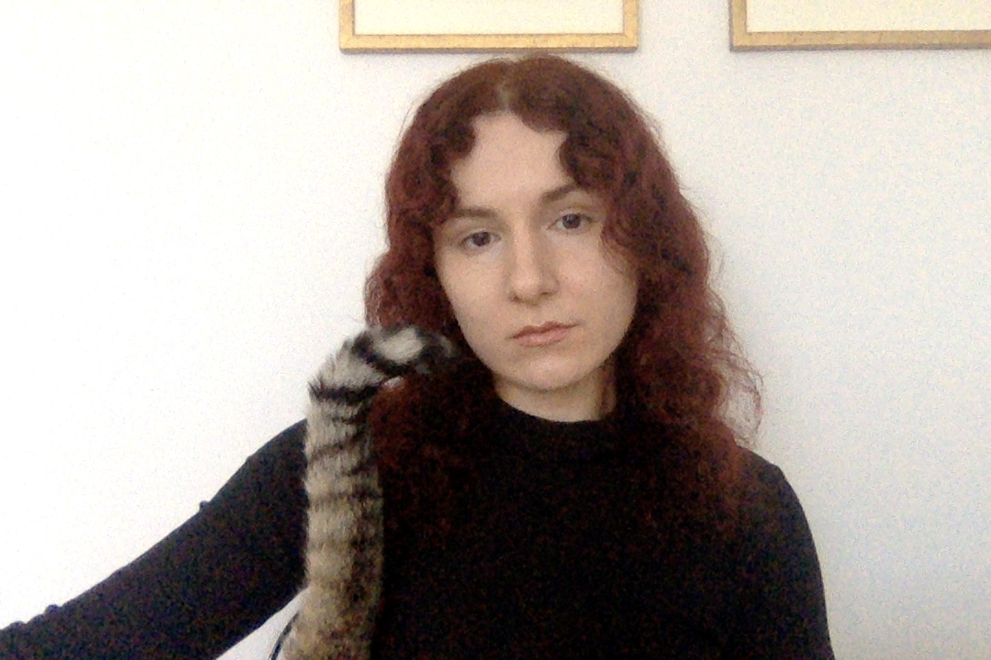 Dangerzone | Dangermami 