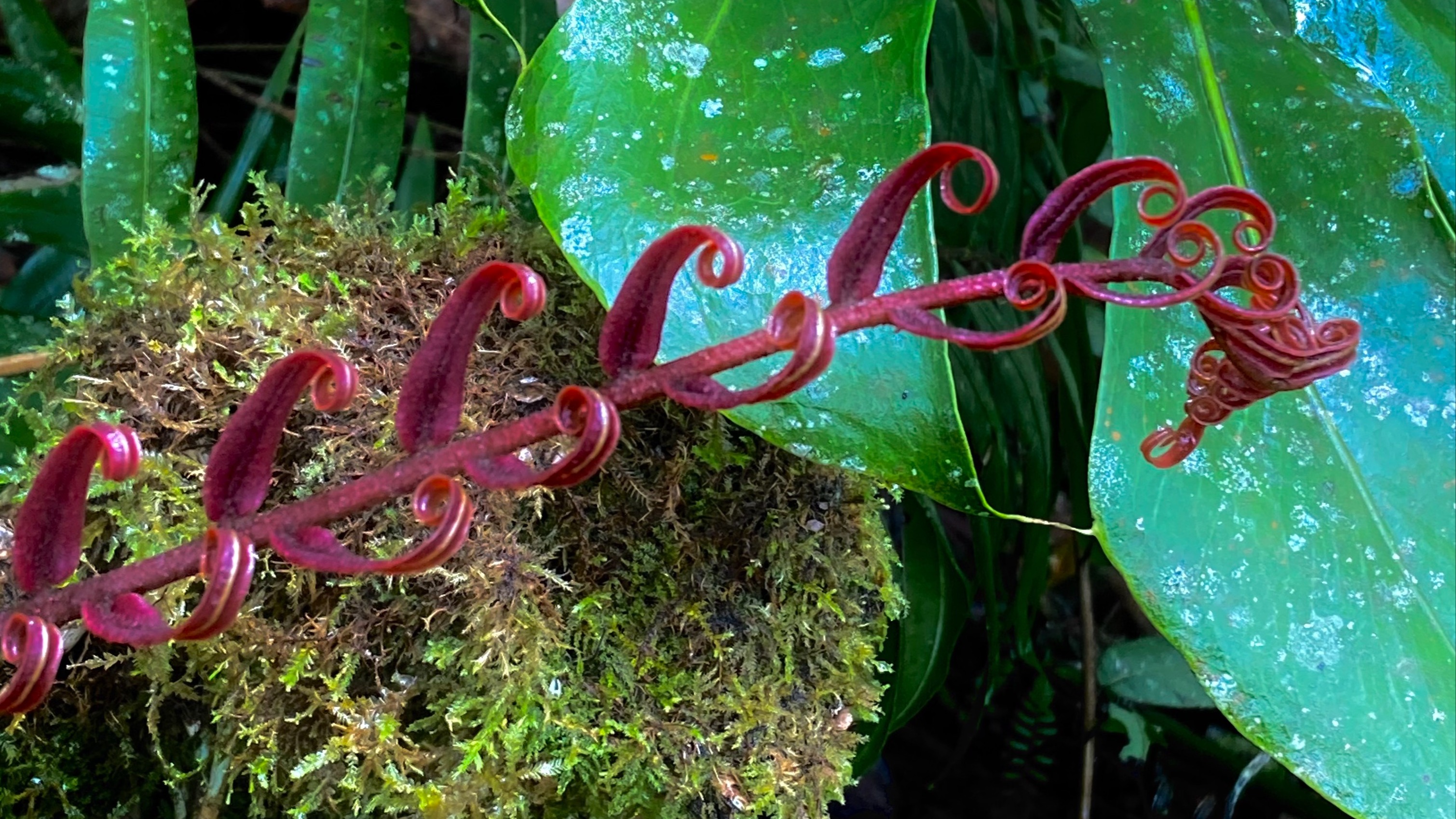 State of Transition | Sia K S