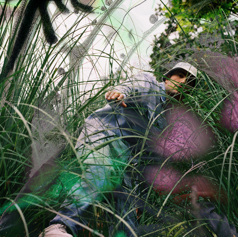 Plants, Beats, Bleeps & Bloops | Ozoyo