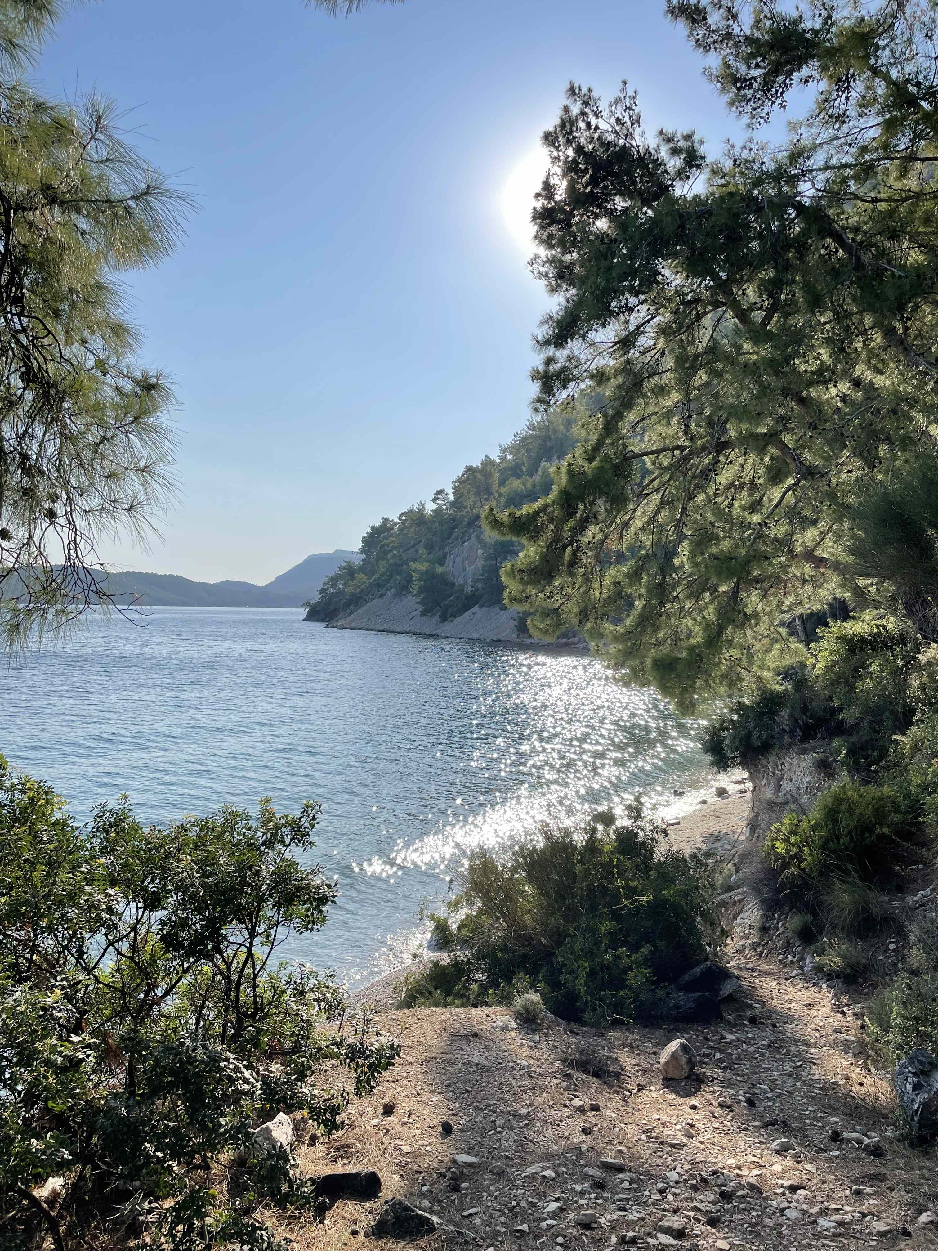 Under The Influence | Lz MC Can