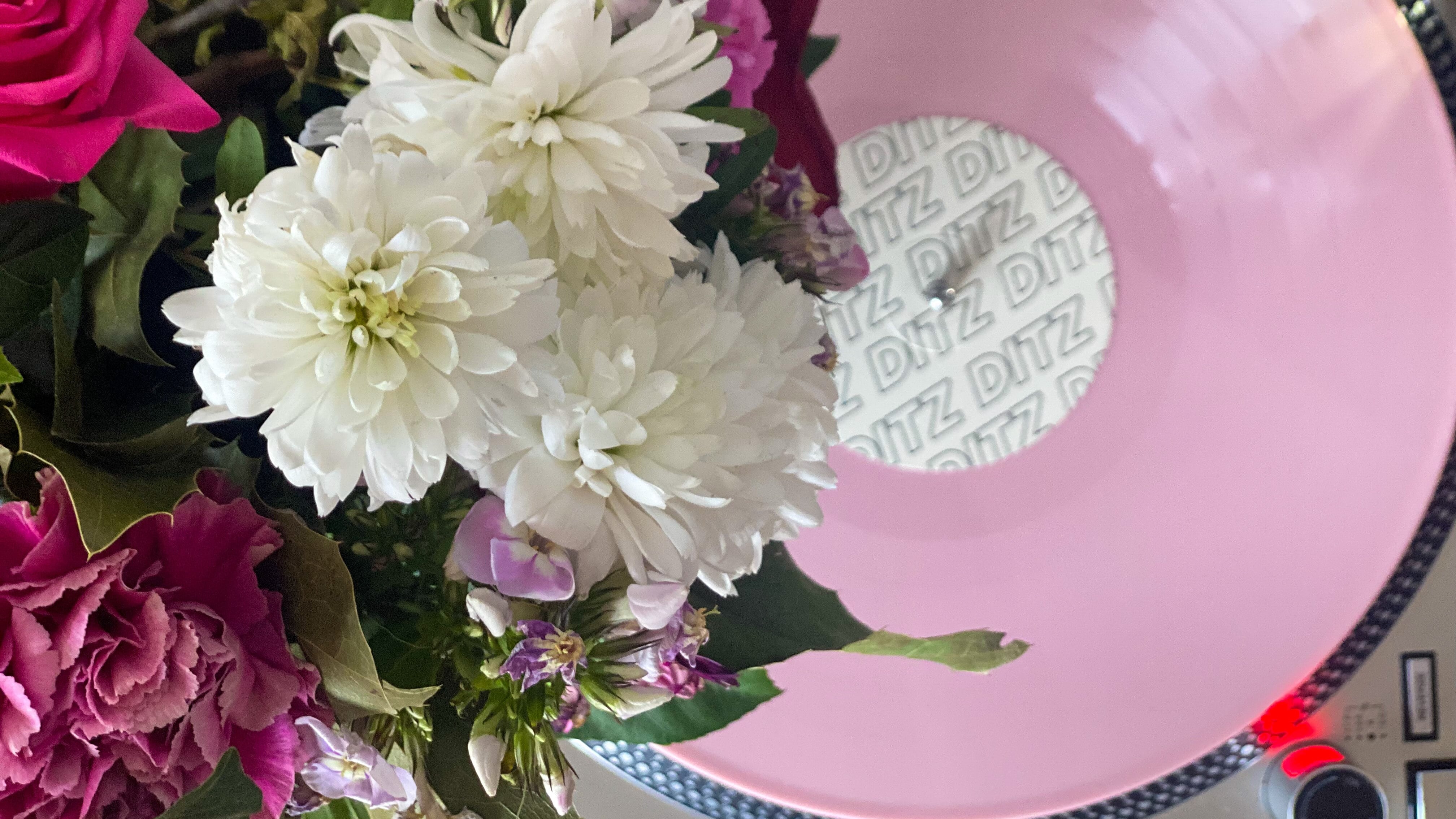 SMS Radio: Everything Under The Sun | SAGAN