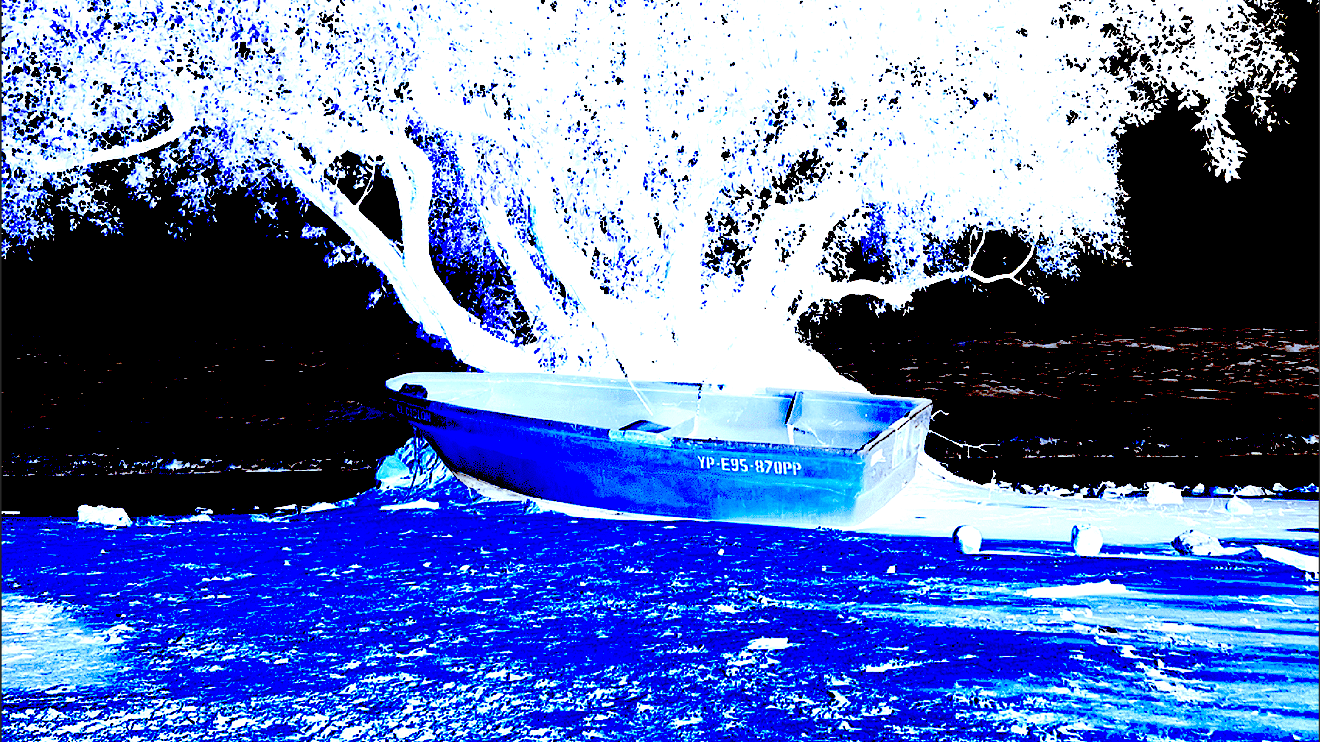 Marrón Steppers: Trippy Caribbean | Jefe Marrón & Cheb