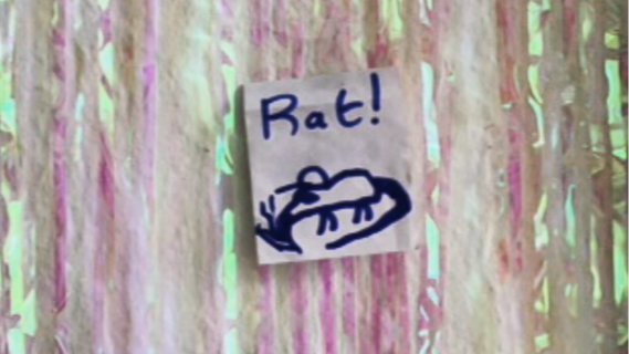 Jank Incorporated | Jank Inc. & Squish Kibosh 