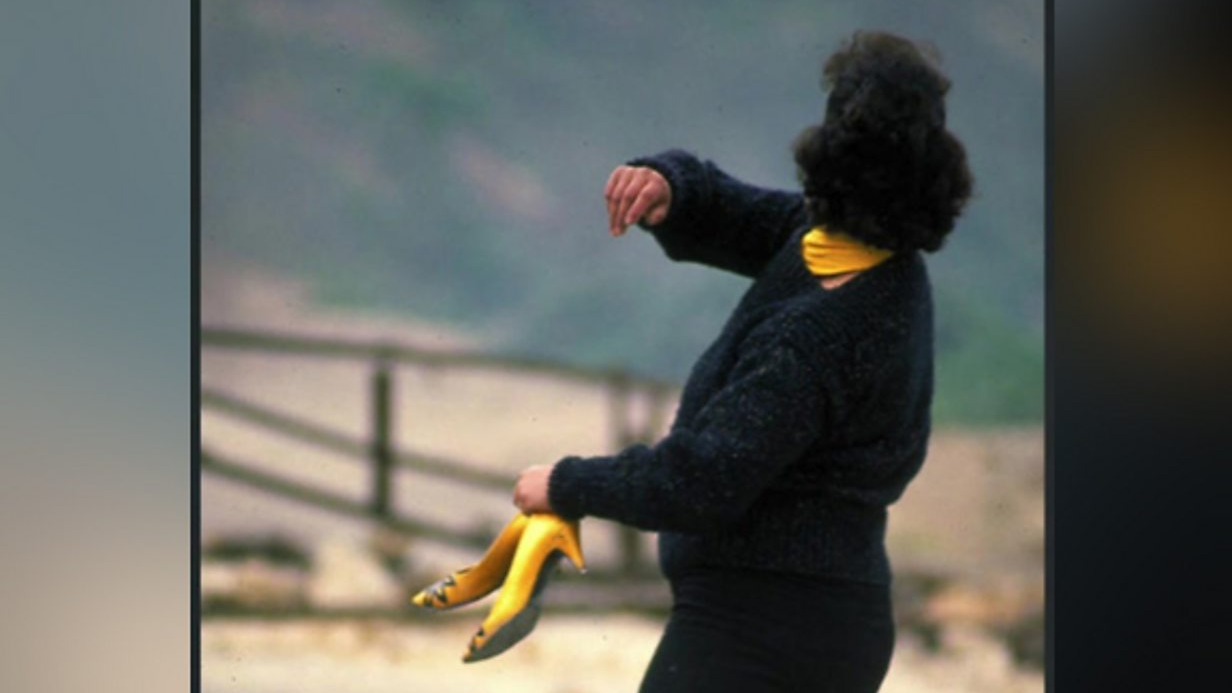 How Does Our Feminism Remake Our World: Palestine, Liberation, and Imagination