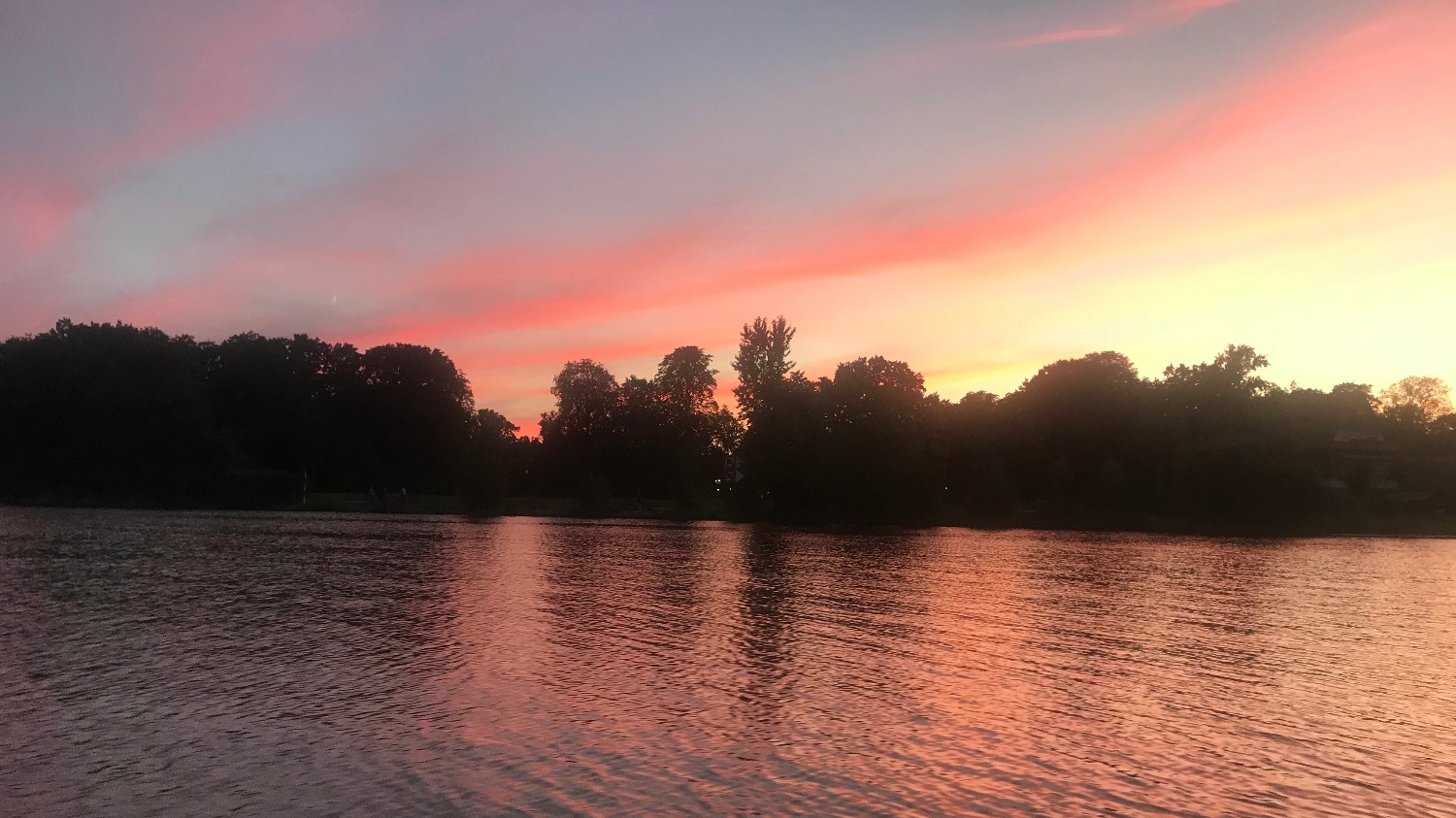 Lost in Transmission | Madame Shazzzam