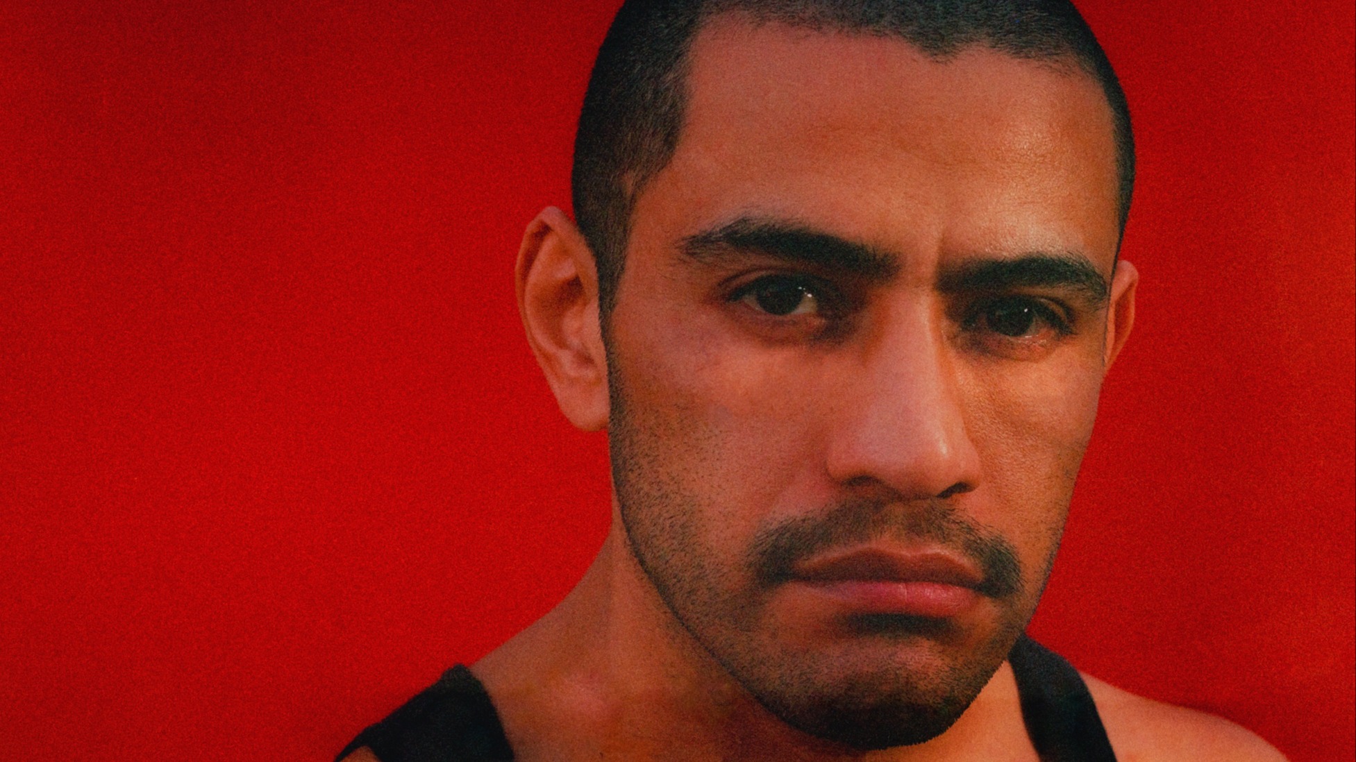 Fiestuki Mexa | Kodemul