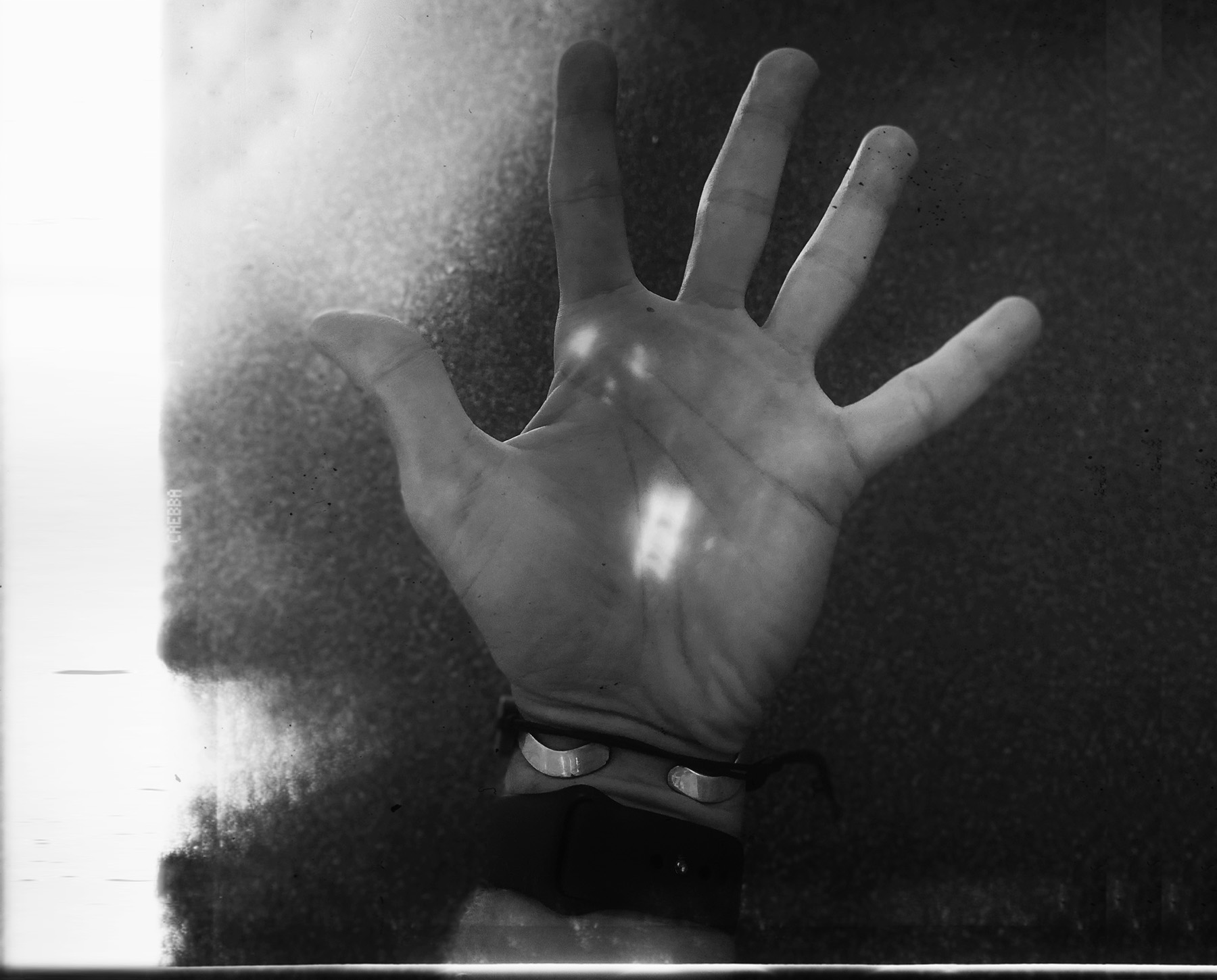 Hello Light | Starling Works & Niko Seizov