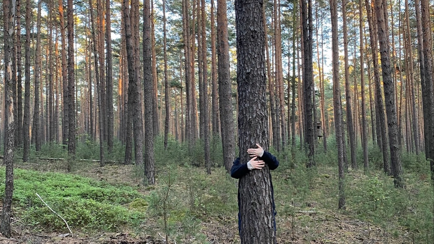 Mixed Bag | Jess Nash