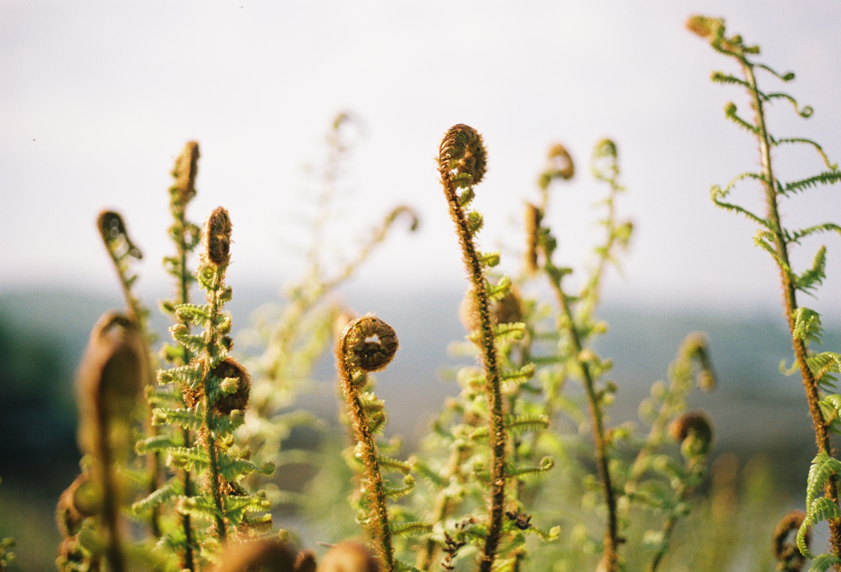 Loose Ends | Kemback