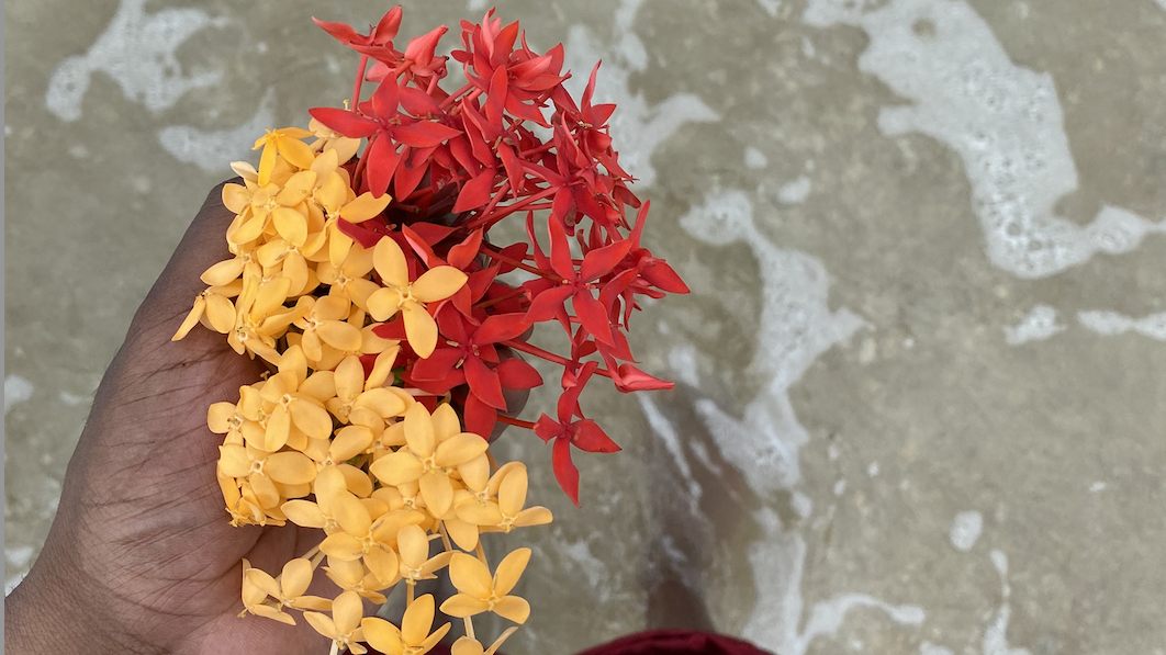 BIWOC* Rising: Anti-imperialist Feminisms in Diaspora in Germany Now | Lou, Roro & சுசீலா Susheela